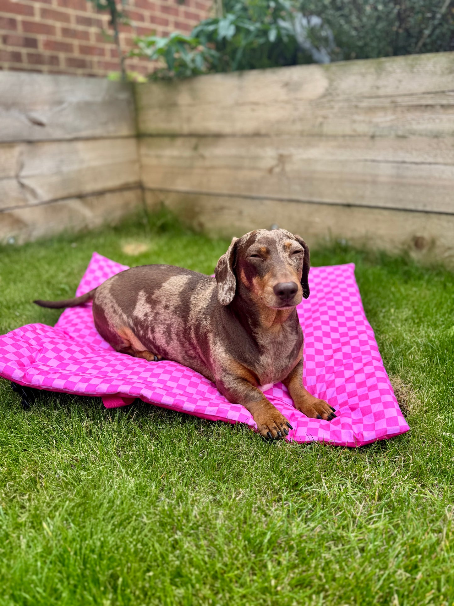 Pink Checkered Pub & Picnic Settle Mat