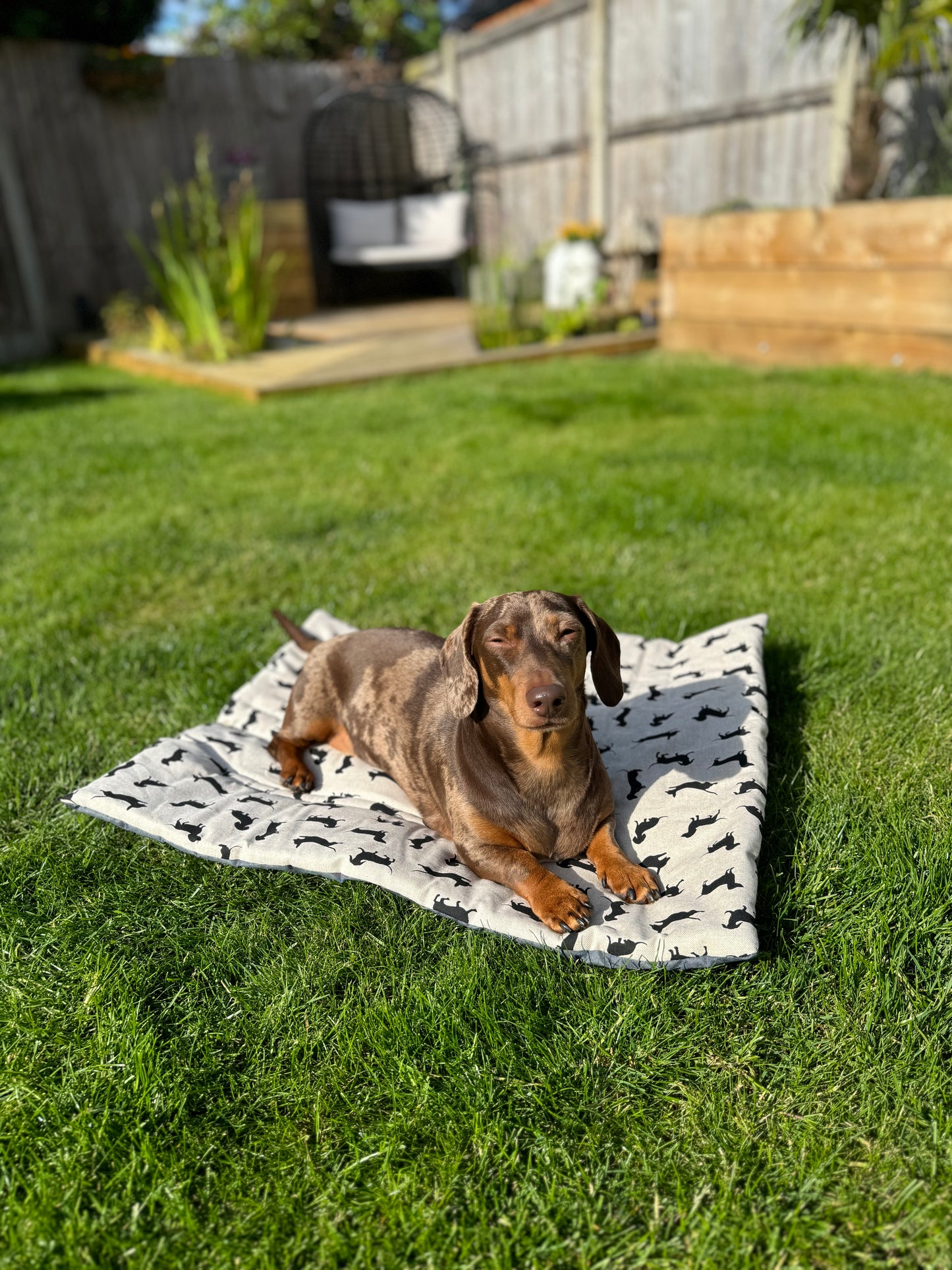 Dachshund Pub & Picnic Settle Mat