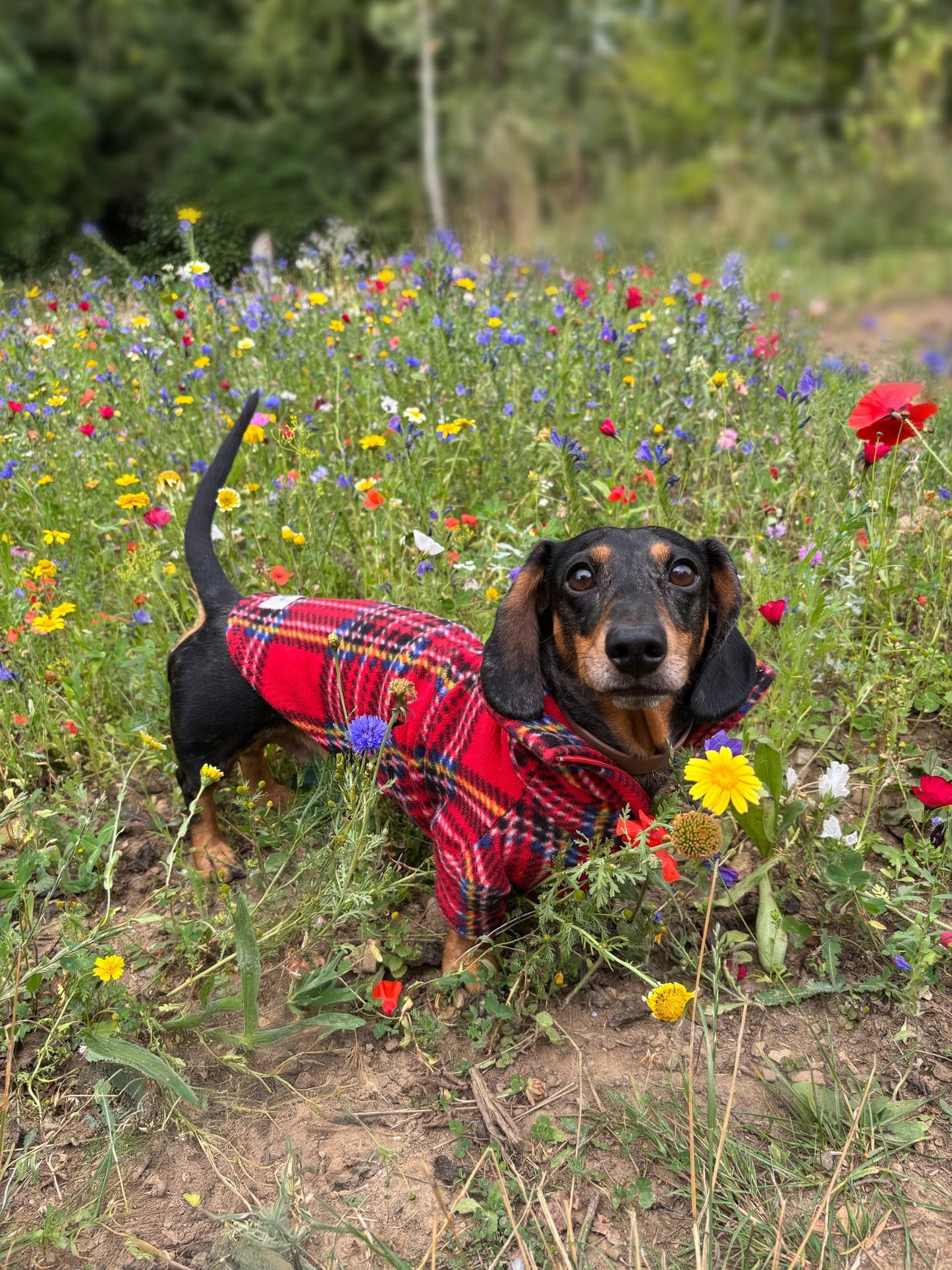 Red Tartan Quarter Zip Fleece Jumper