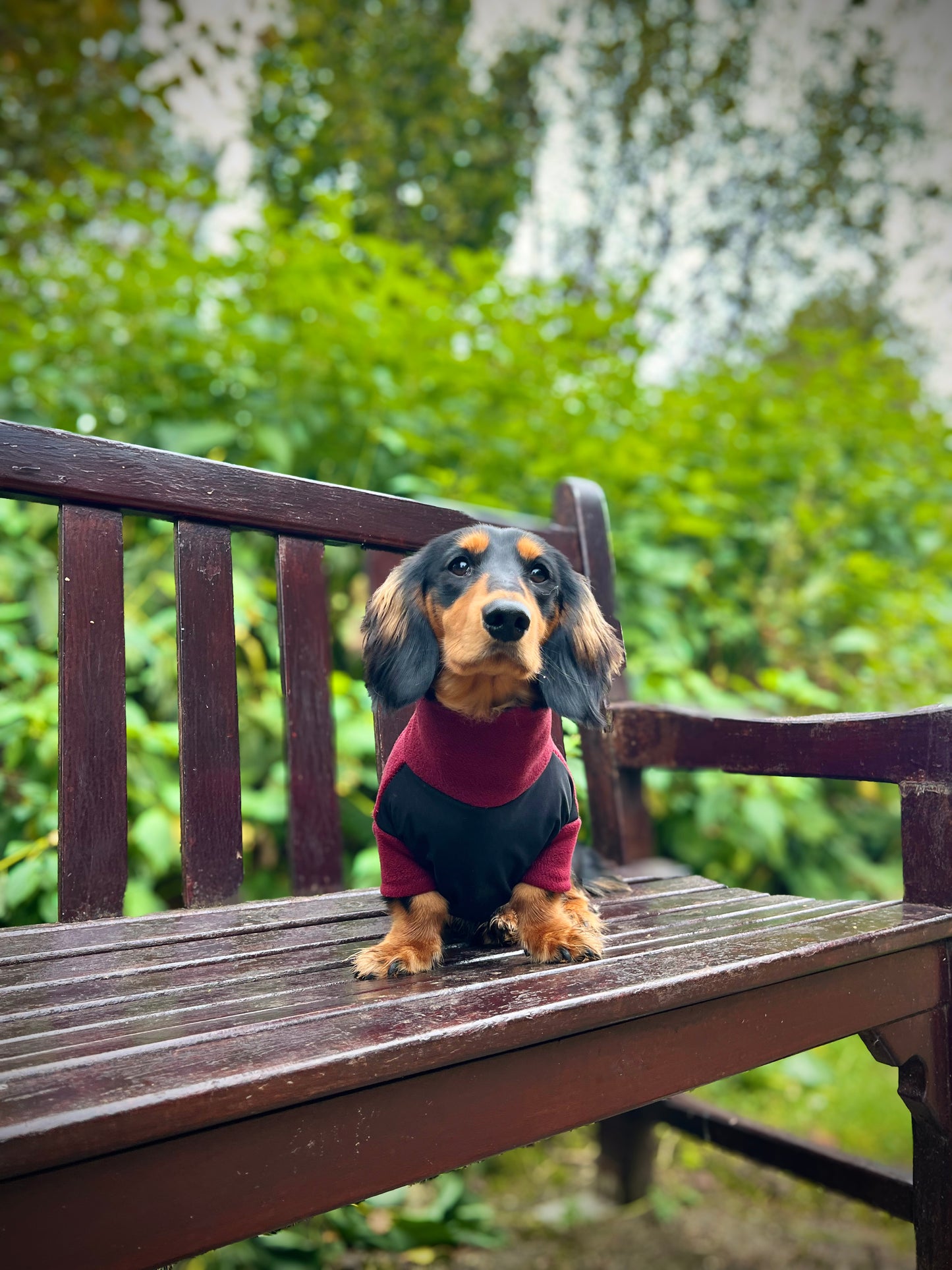 Wine Fleece Jumper