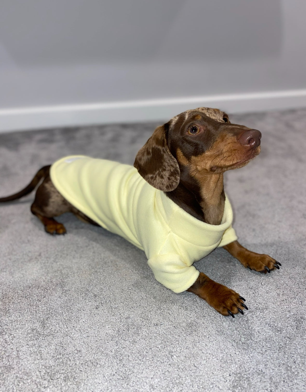 Lemon Fleece Jumper