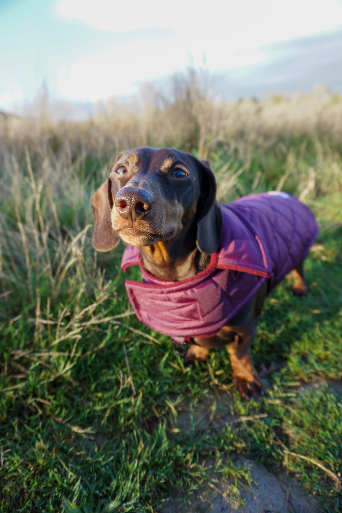 Wine Quilted Coat with Fleece Lining