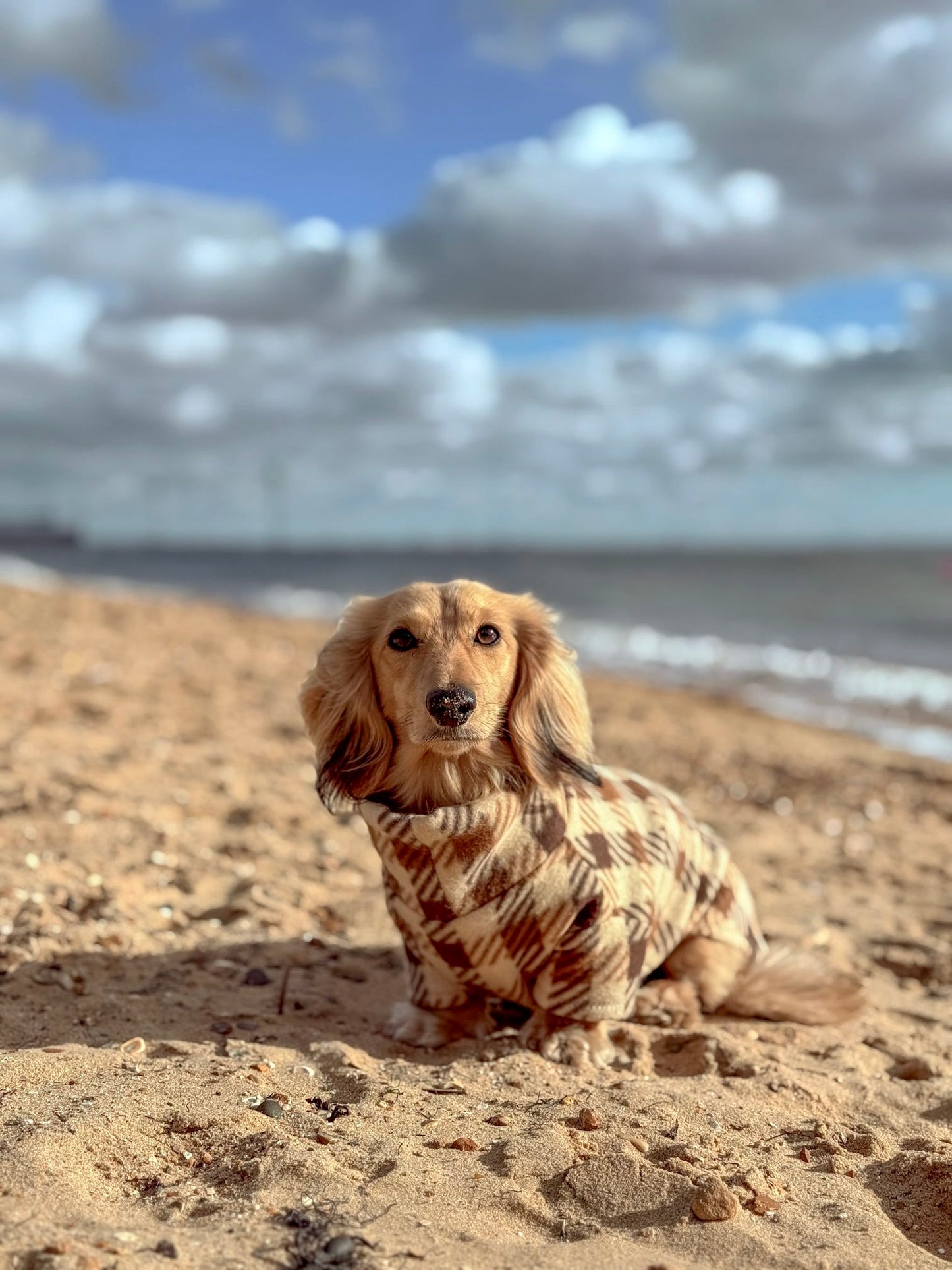 Brown Plaid Fleece Jumper