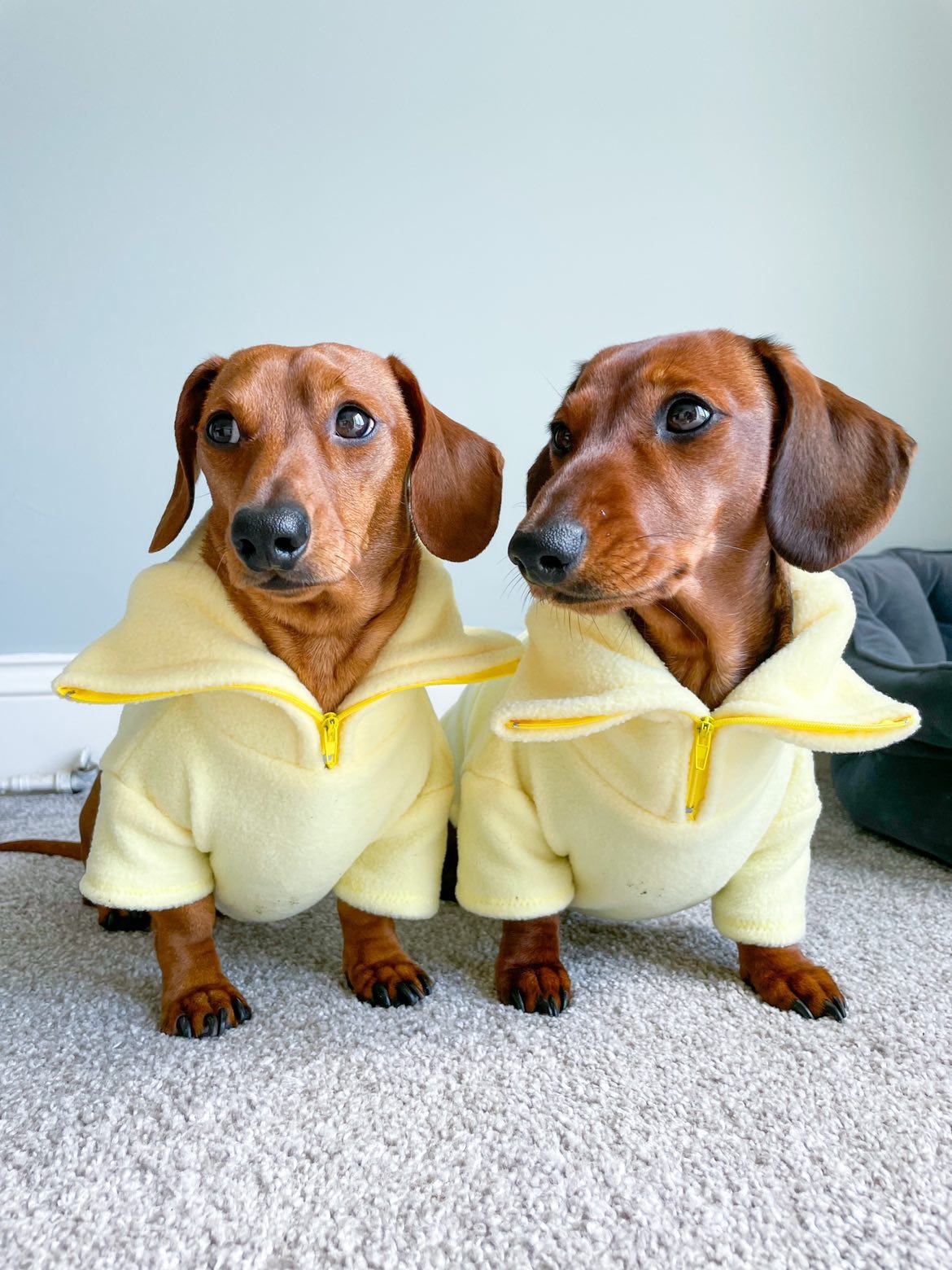 Lemon Quarter Zip Fleece Jumper