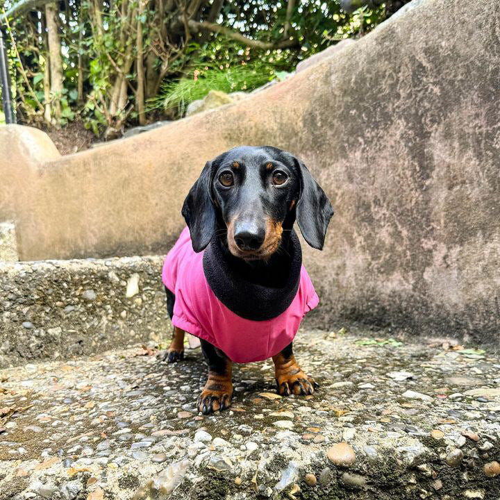 Berry Full Tummy Waterproof Jacket with Fleece Lining