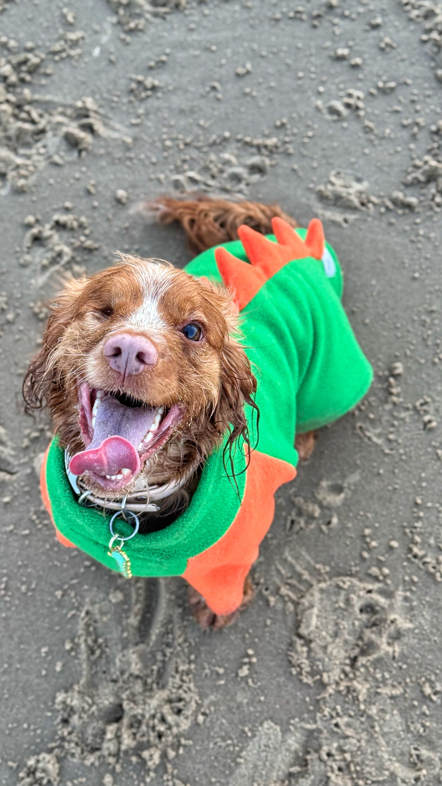 Jurassic Bark Fleece Jumper