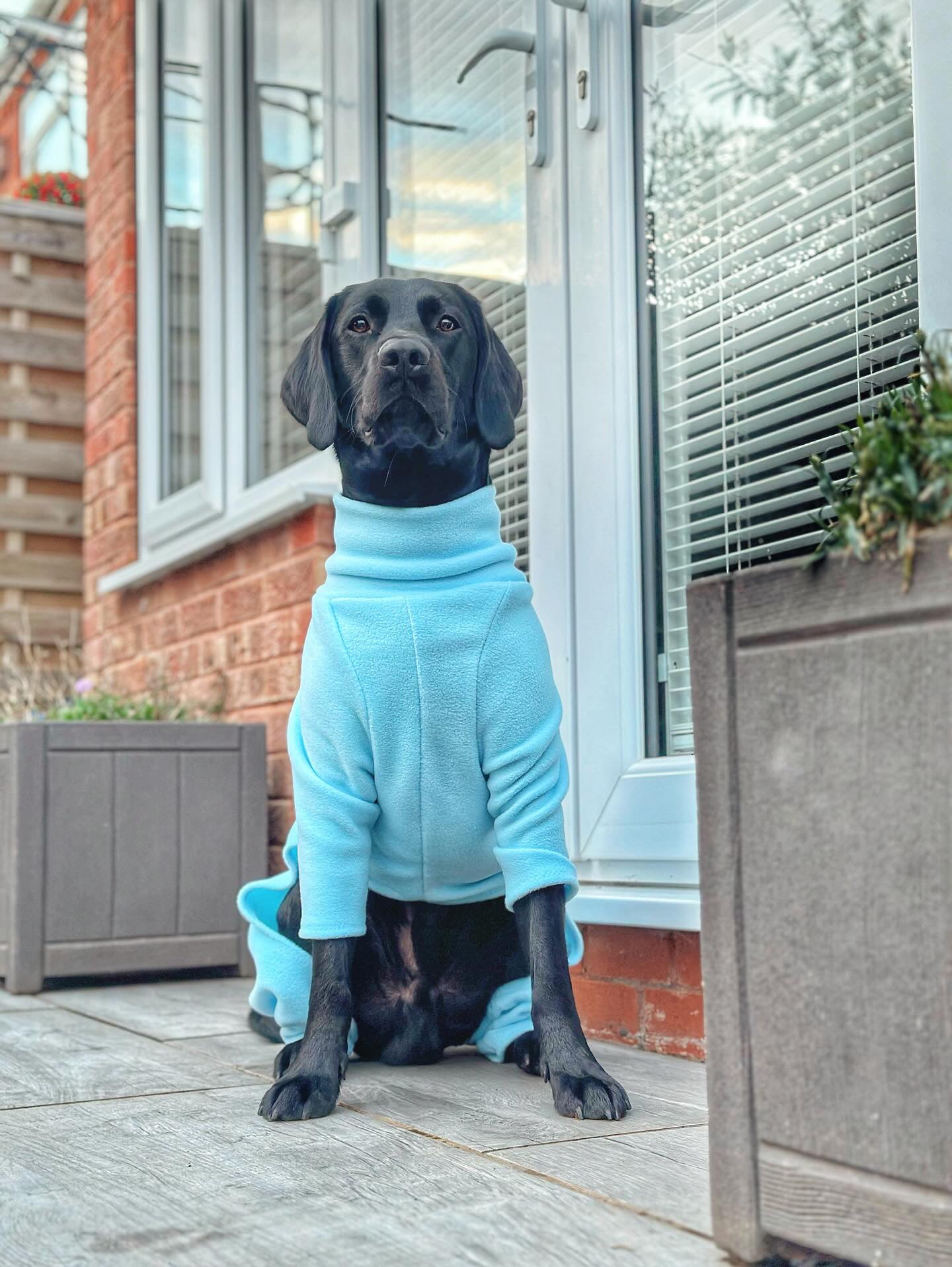Sky Blue 4 Leg Fleece Jumper