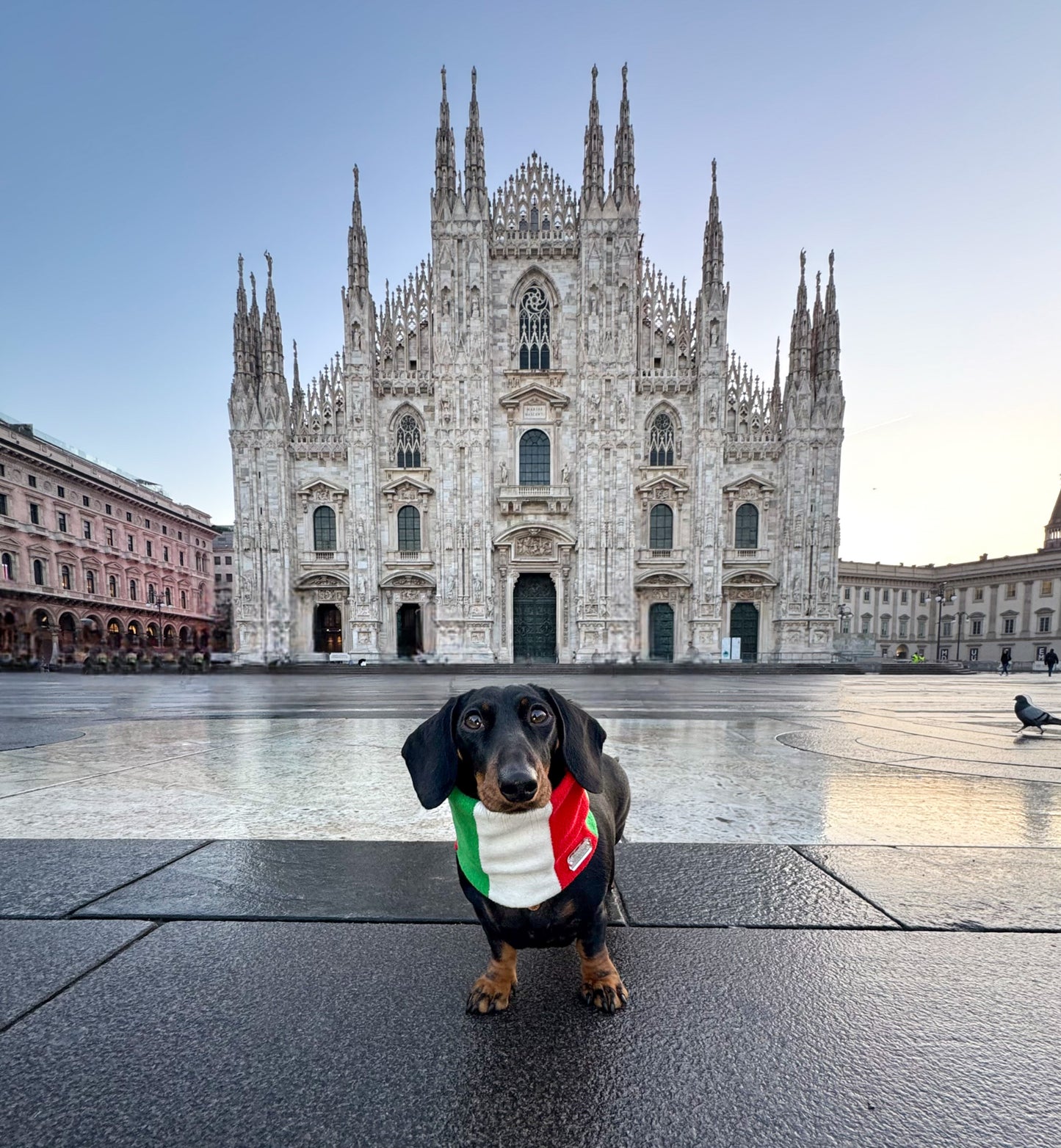 Italian flag Fleece Snood