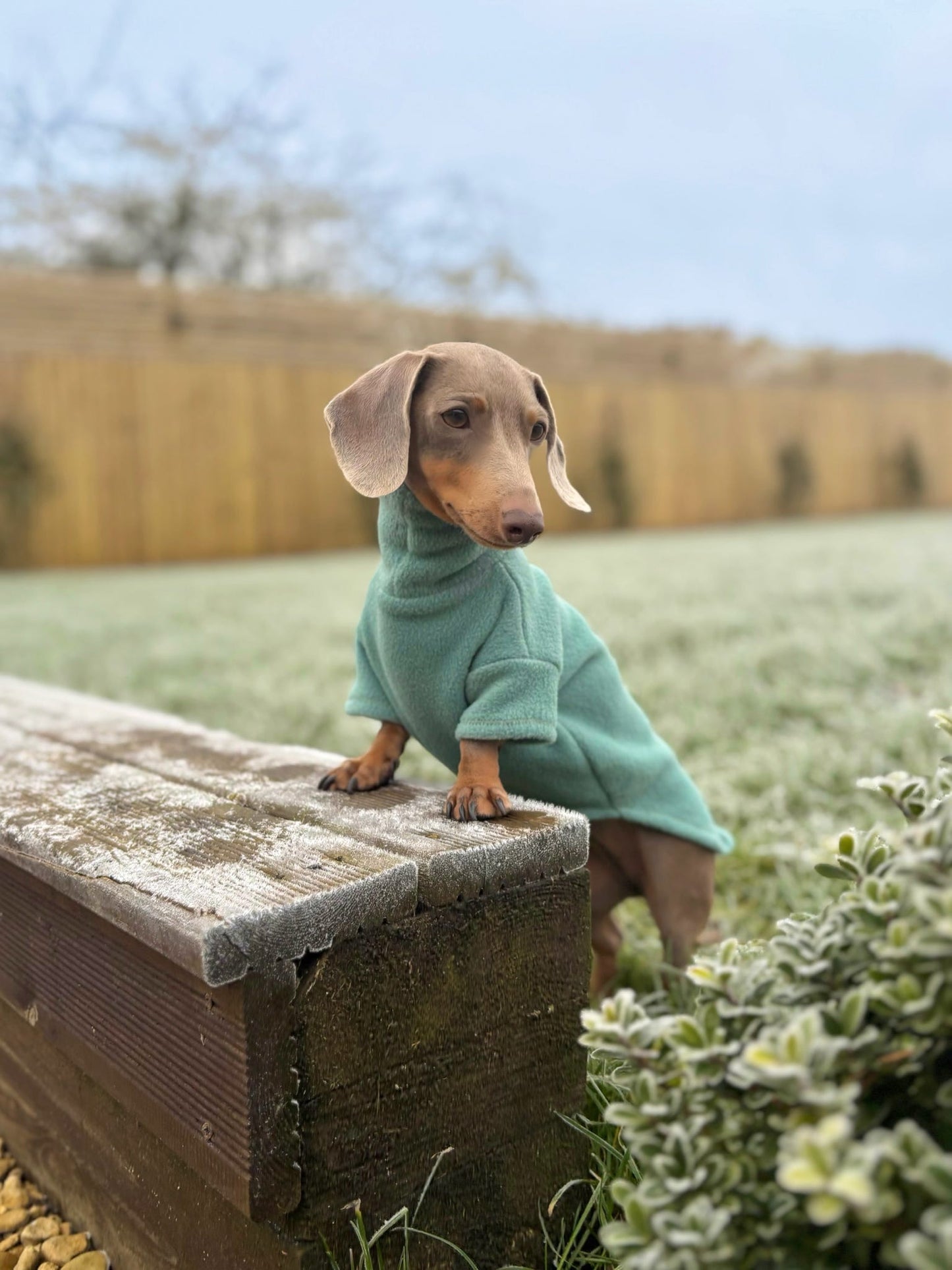 Sage Fleece Jumper