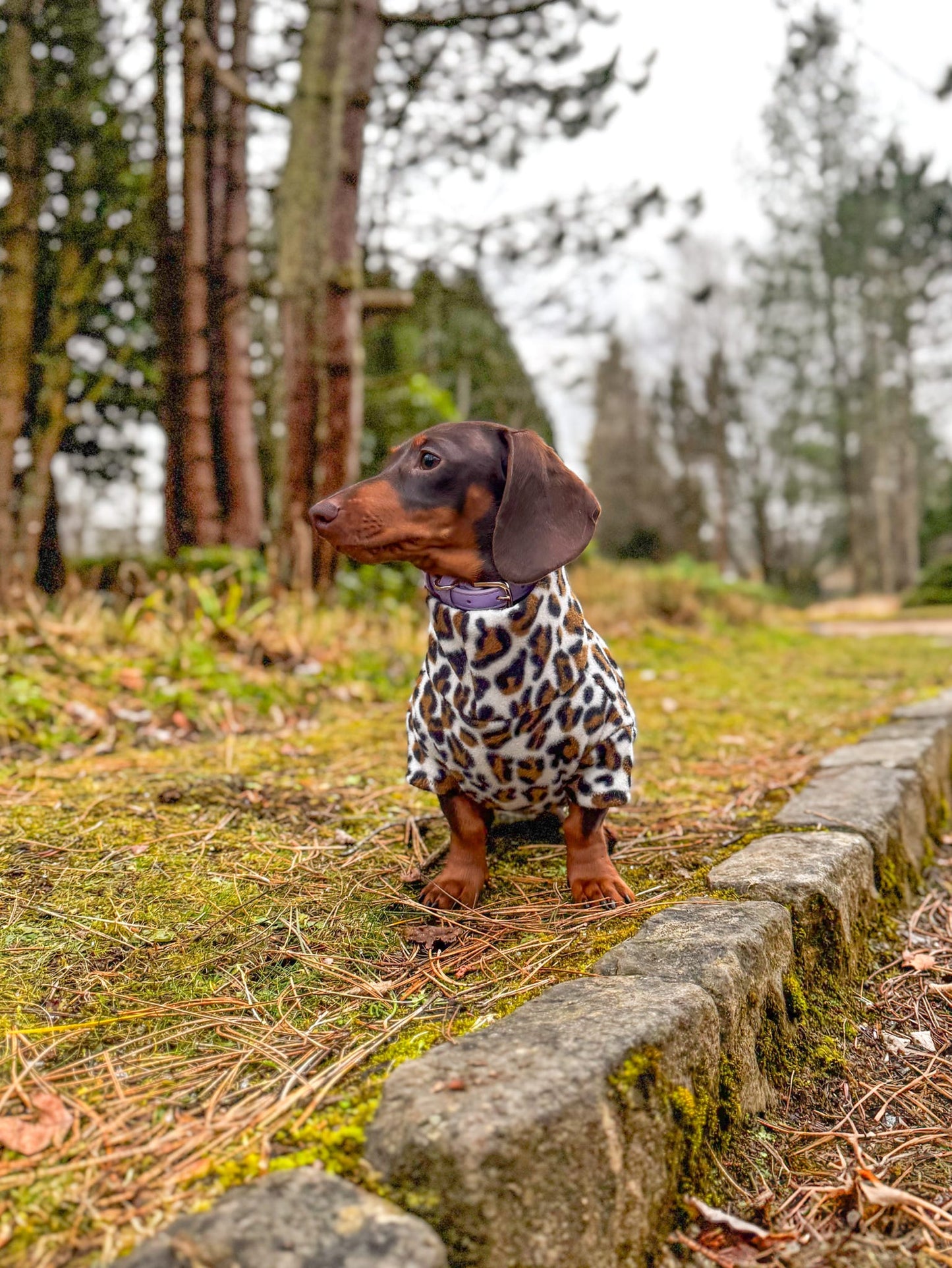 Snow Leopard Fleece Jumper