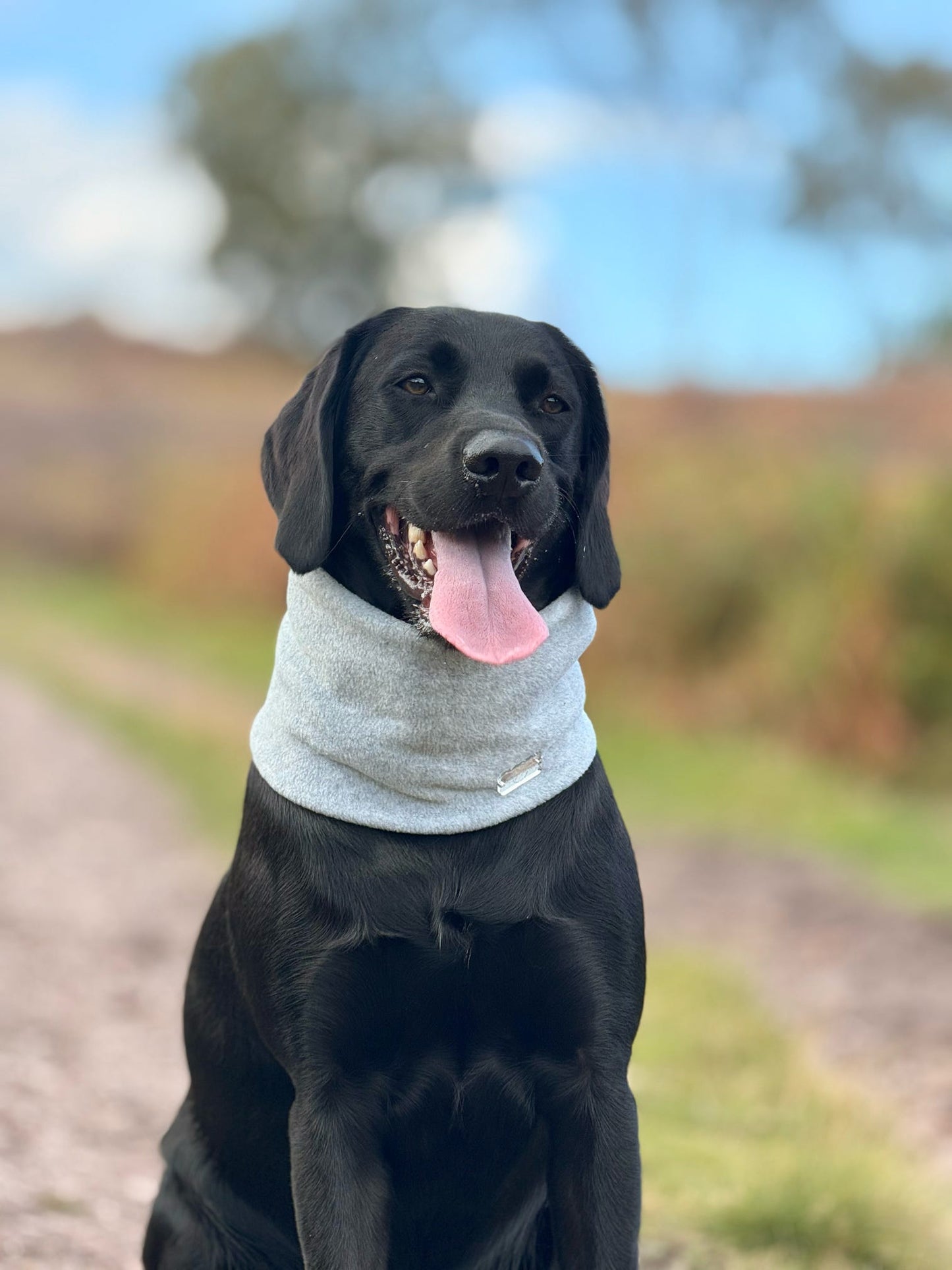 Light Grey Fleece Snood