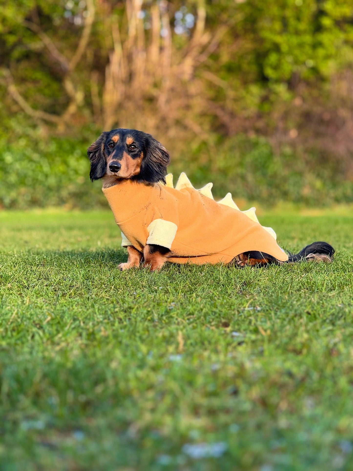 Jurassic Bark Fleece Jumper