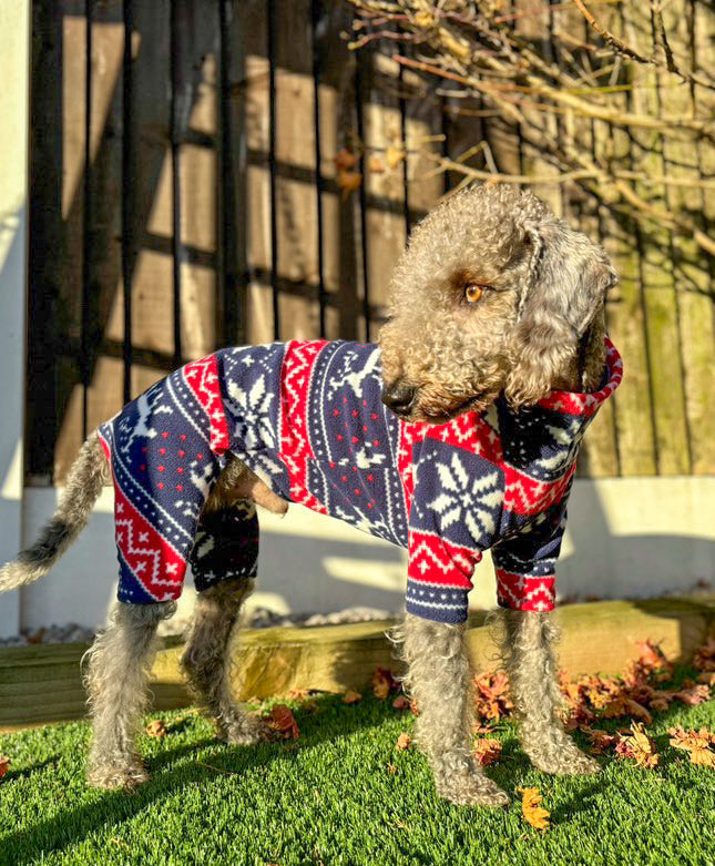 Christmas 4 Leg Fleece Jumper