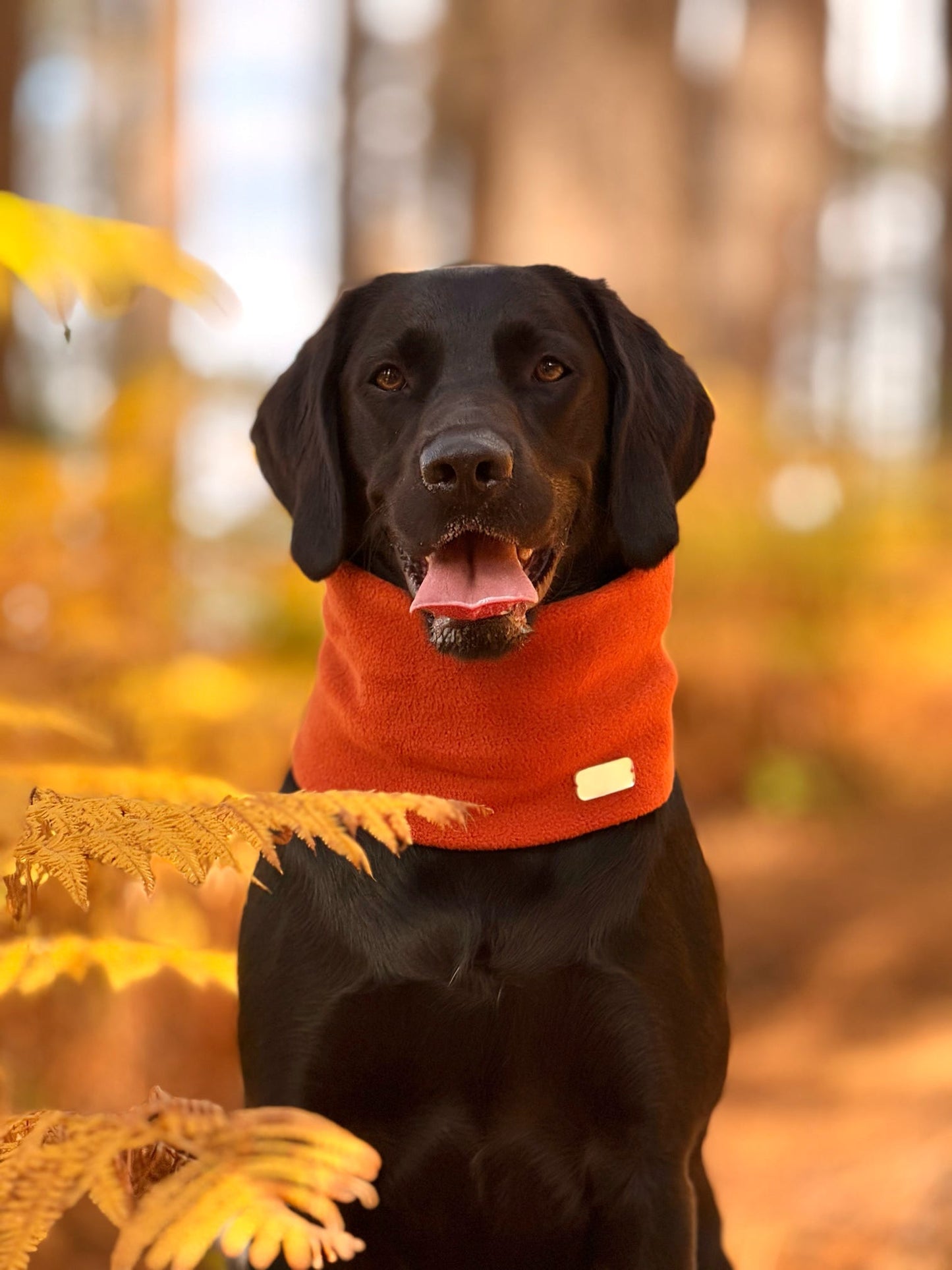 Rust Fleece Snood
