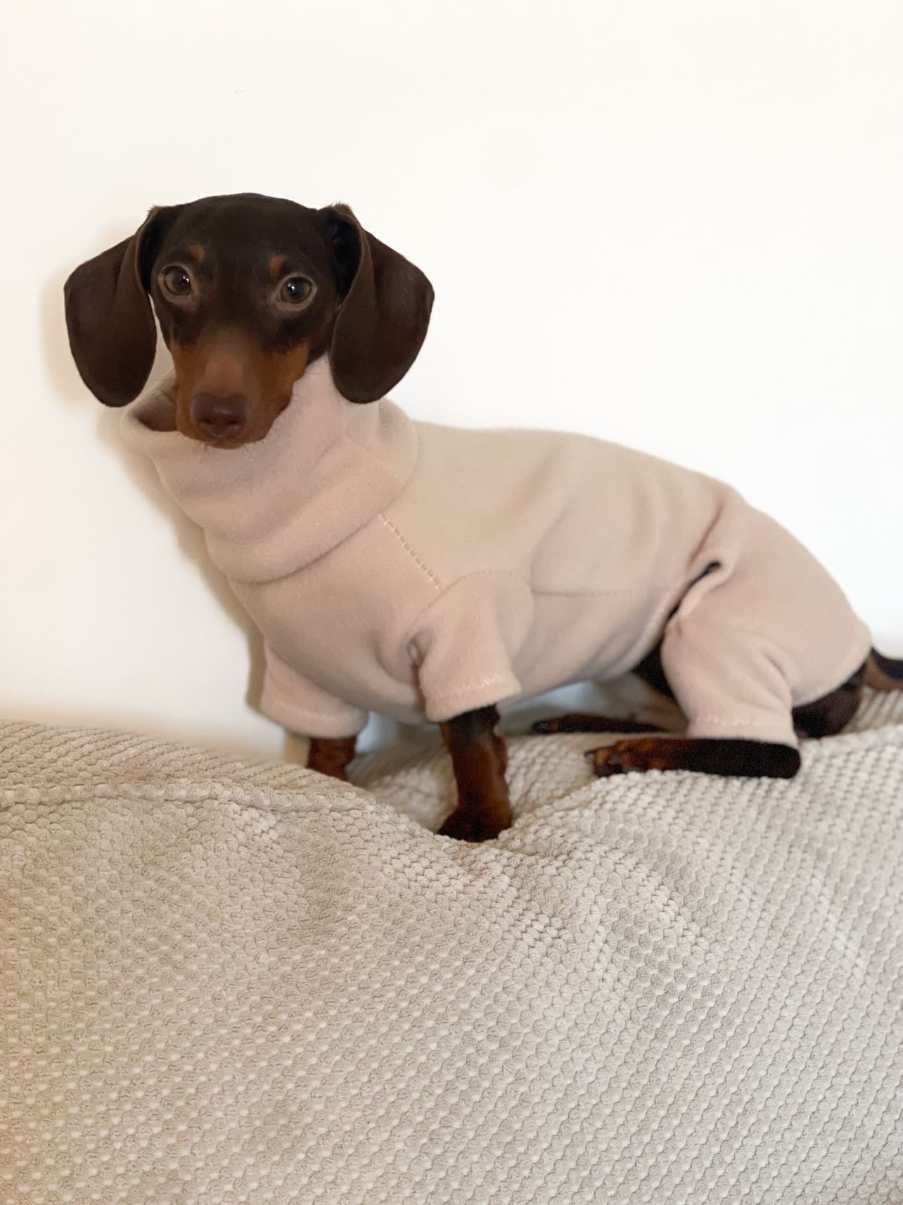 Beige 4 Leg Fleece Jumper