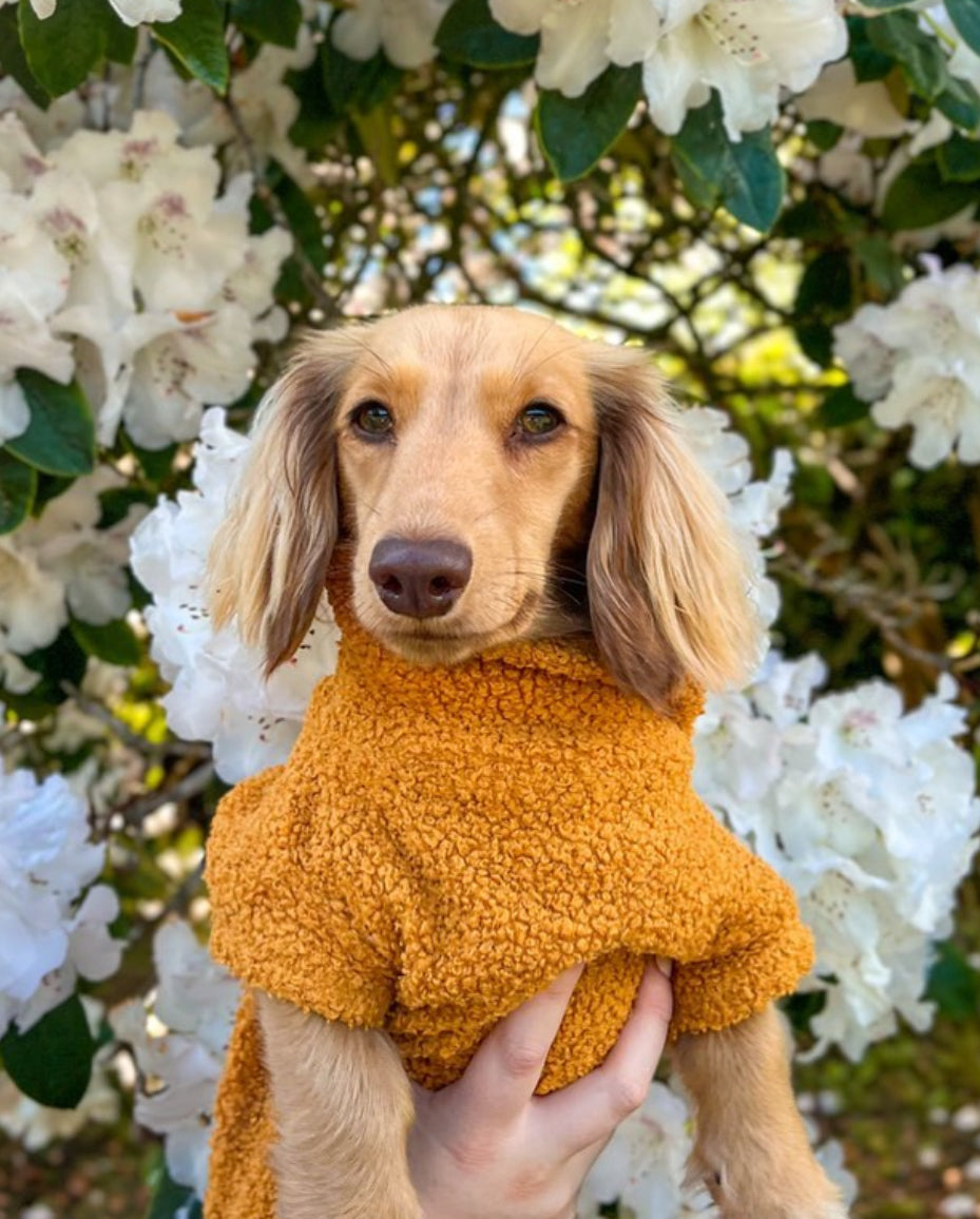 Mustard Borg Cosy Jumper