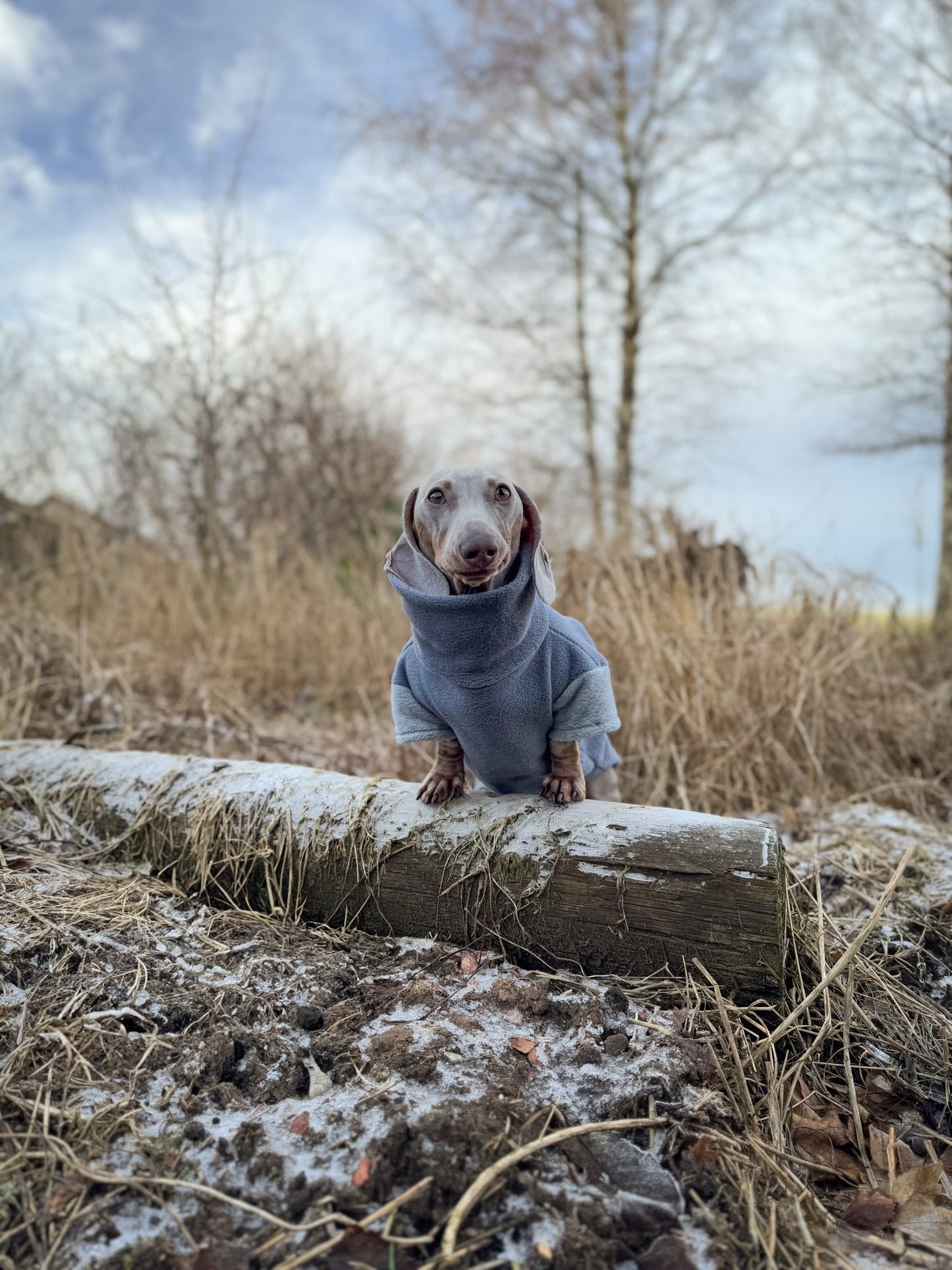 Jurassic Bark Fleece Jumper