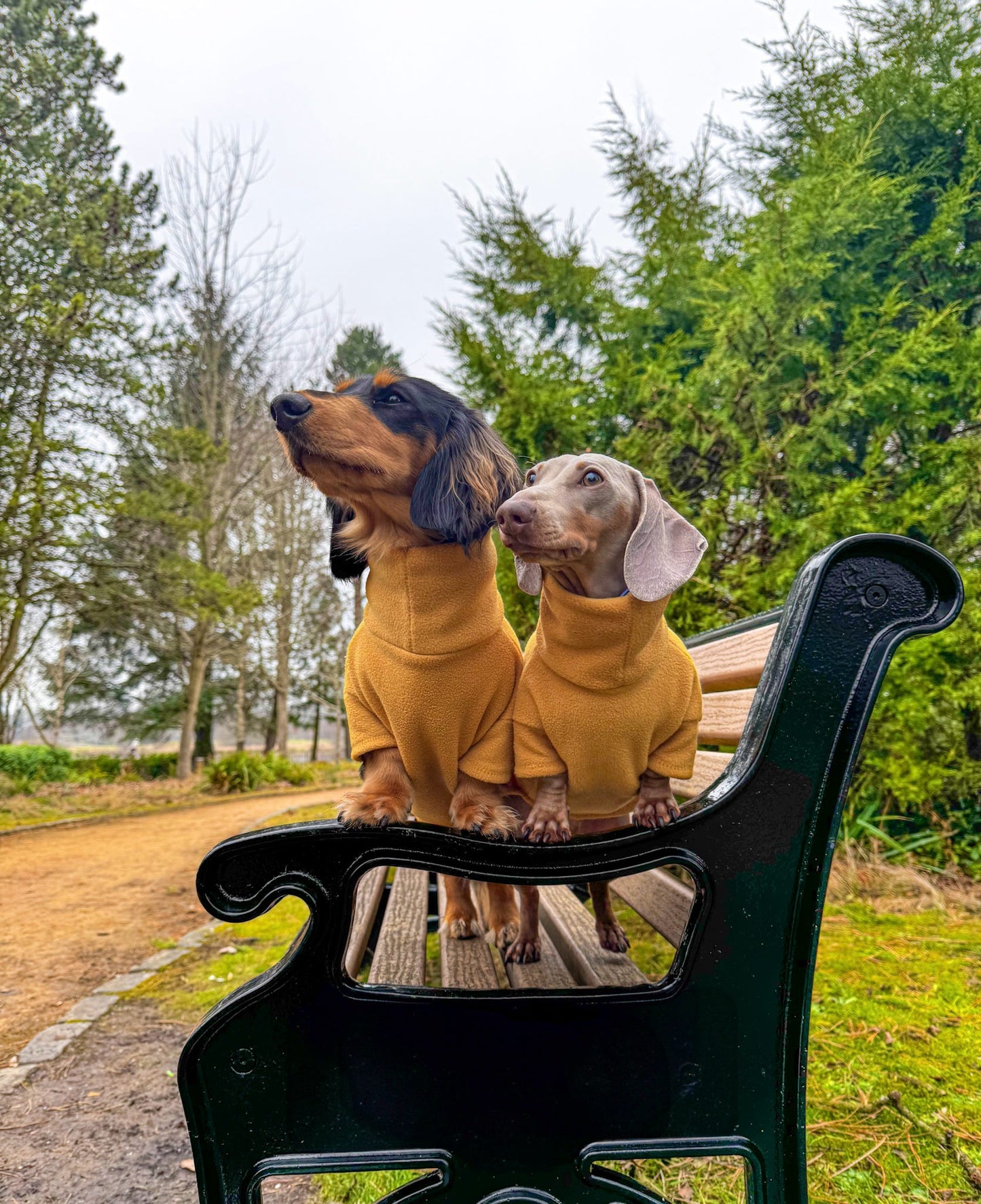 Mustard Fleece Jumper