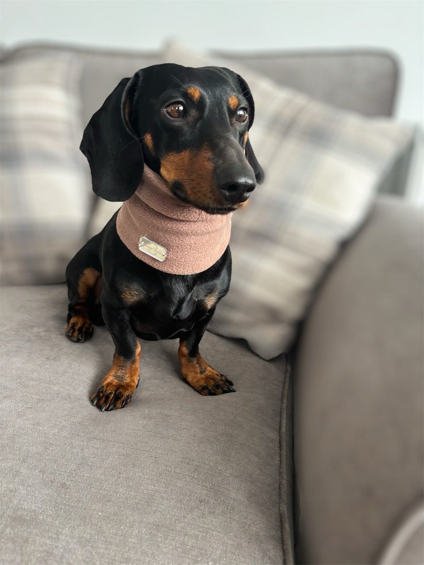 Mocha Fleece Snood