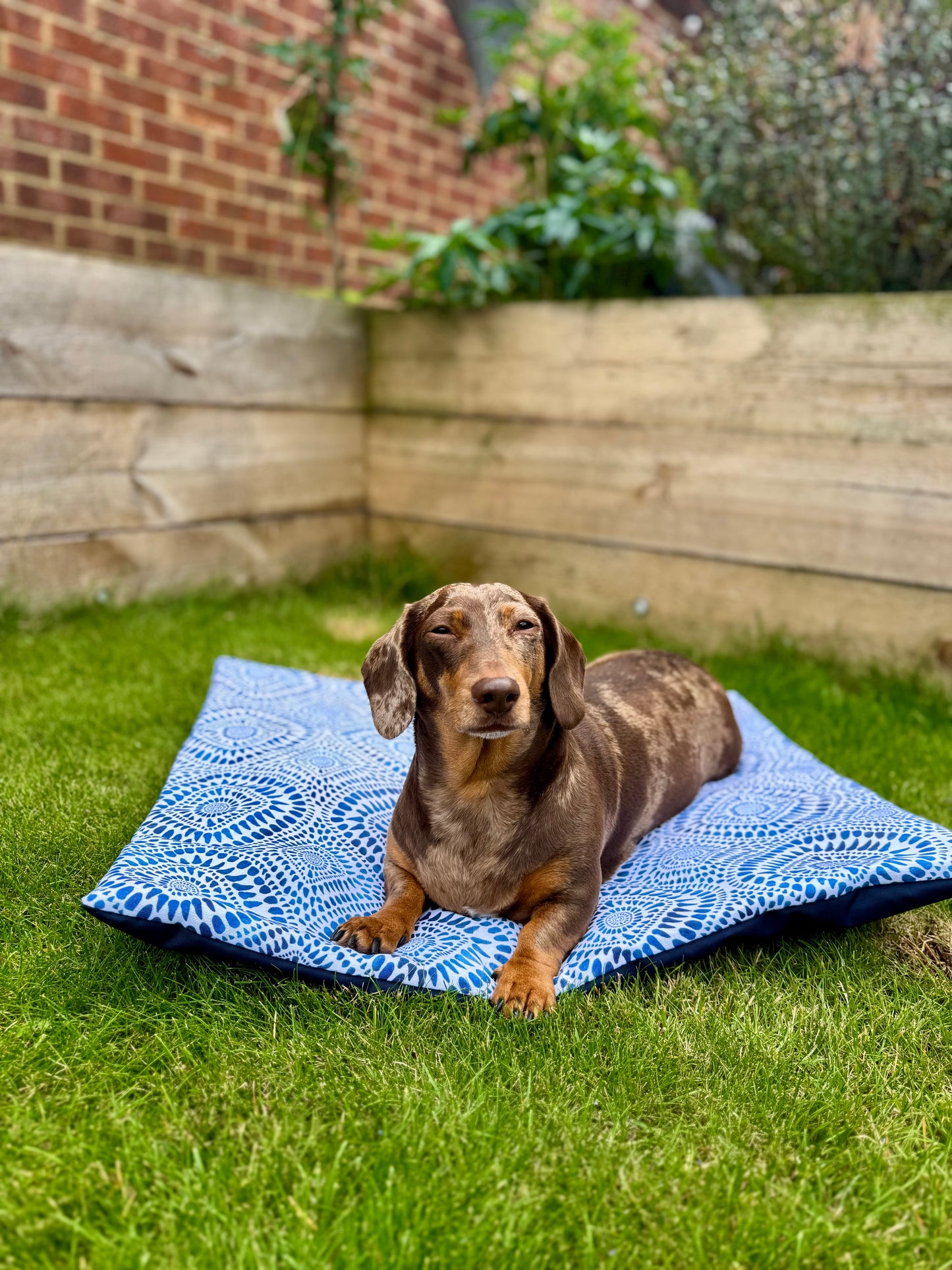 Maya Meander Pub & Picnic Mat