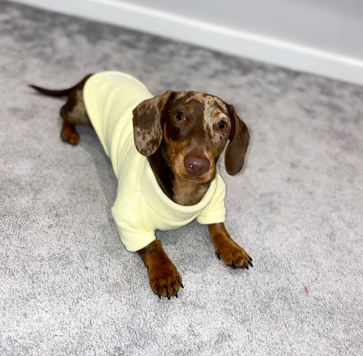 Lemon Fleece Jumper