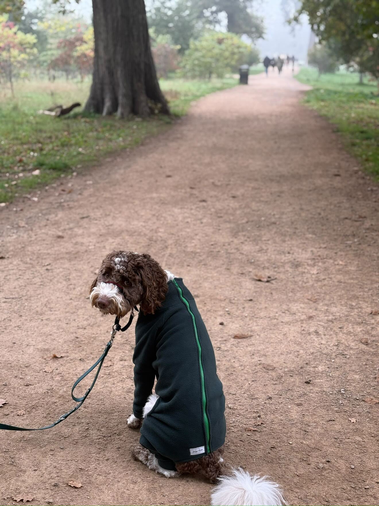 Dark Green 4 Leg Fleece Jumper