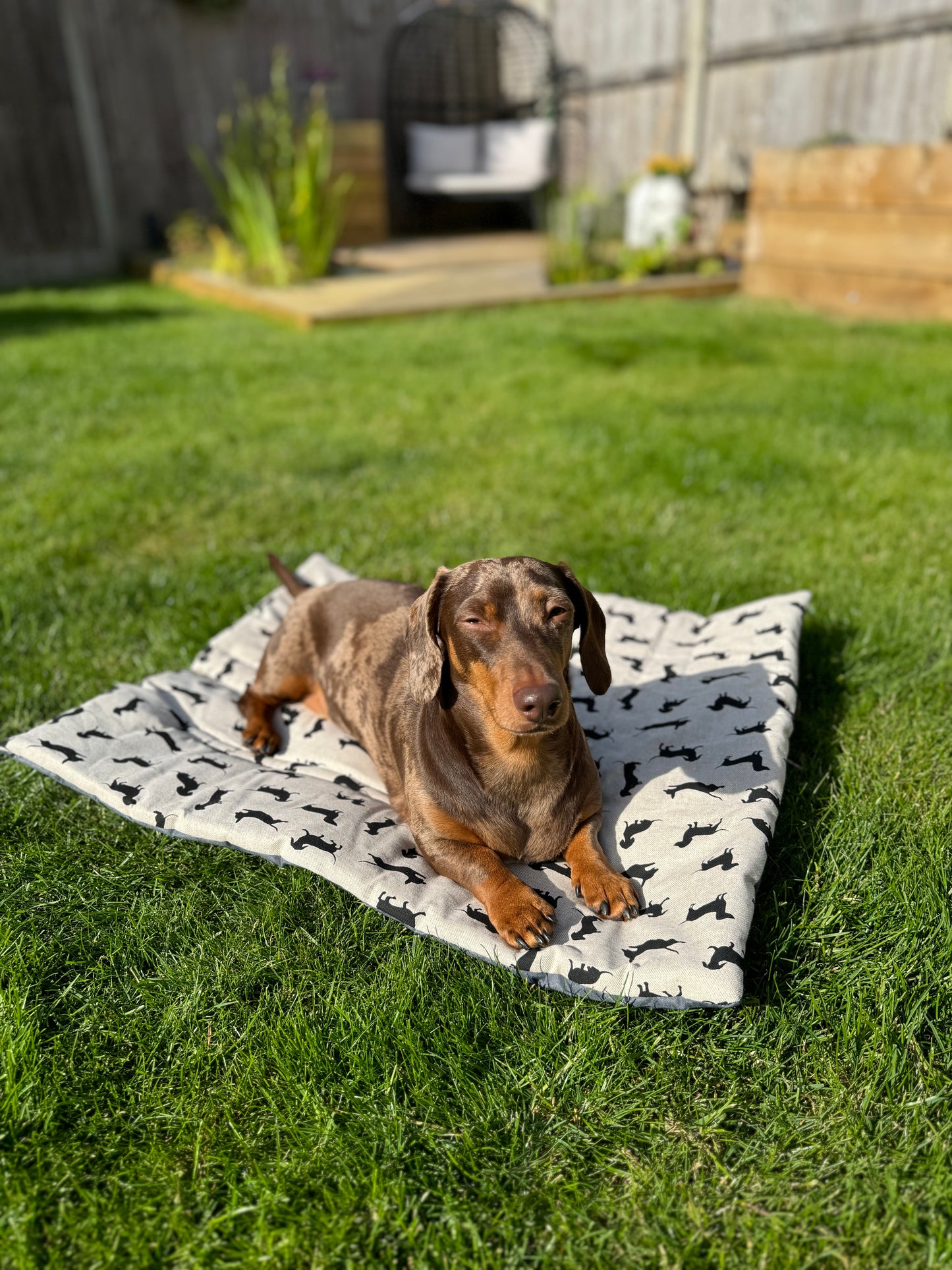 Dachshund Pub & Picnic Settle Mat