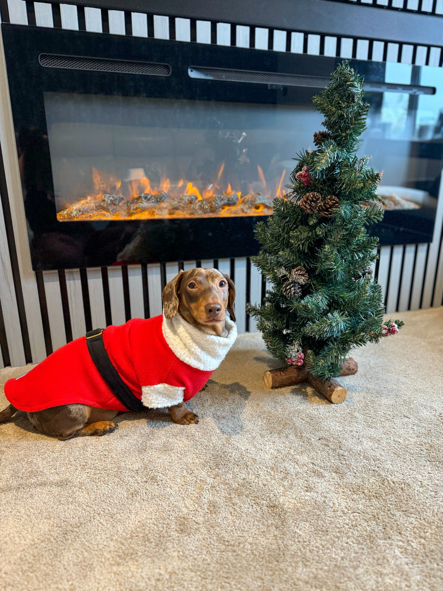 Santa Paws Fleece Jumper