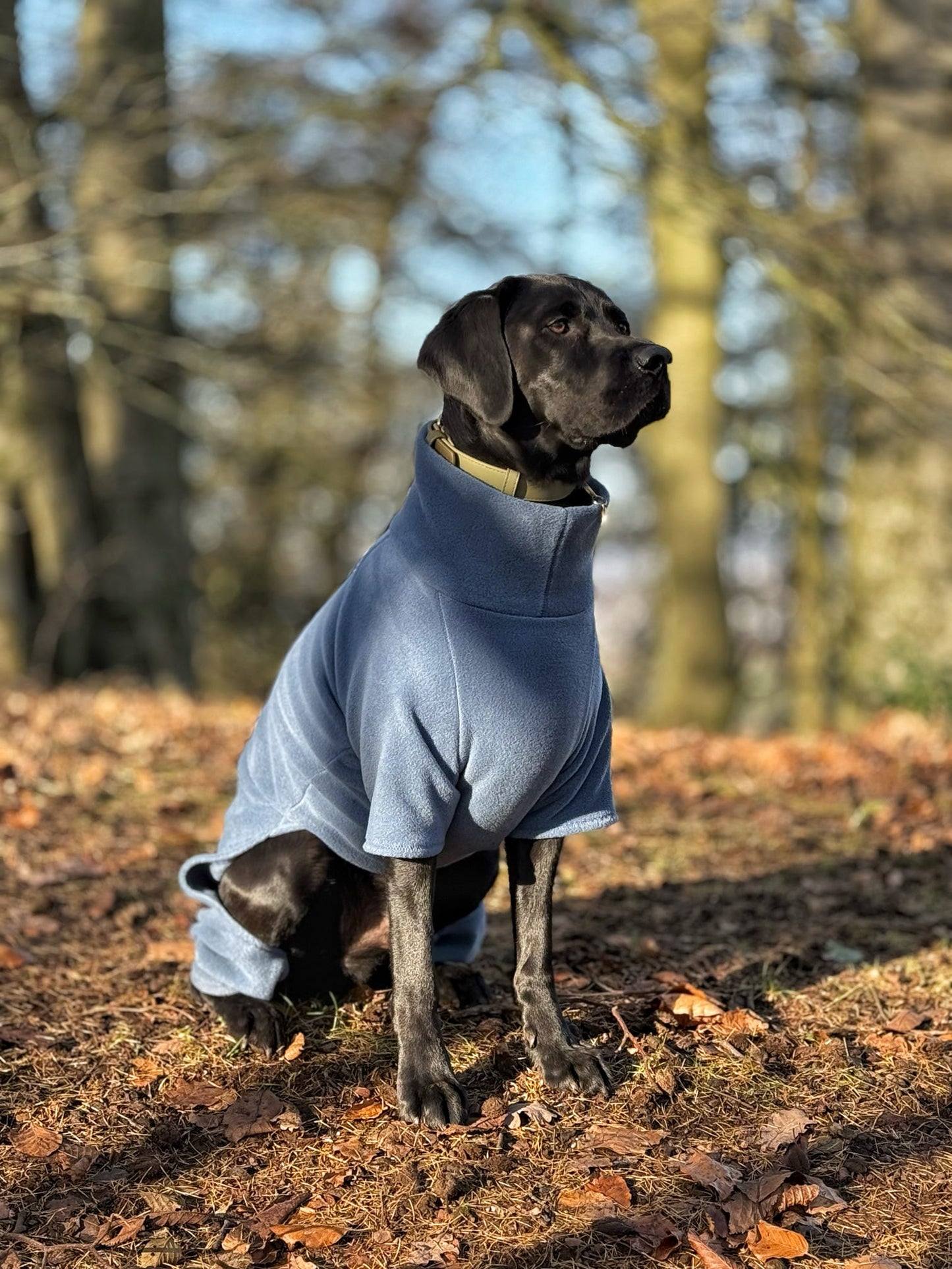 Denim 4 Leg Fleece Jumper