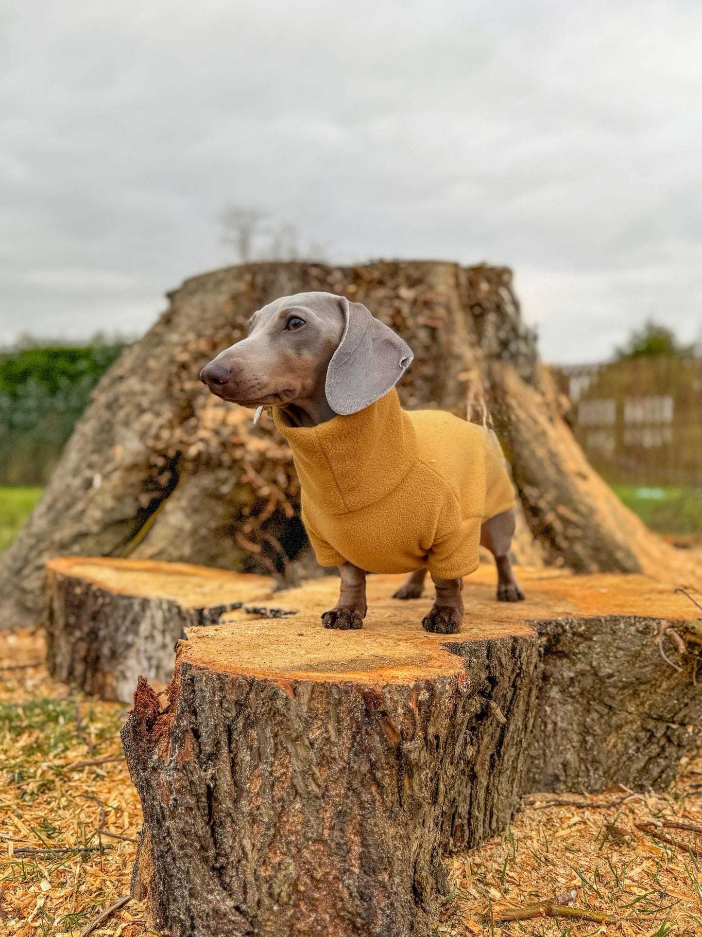 Mustard Fleece Jumper
