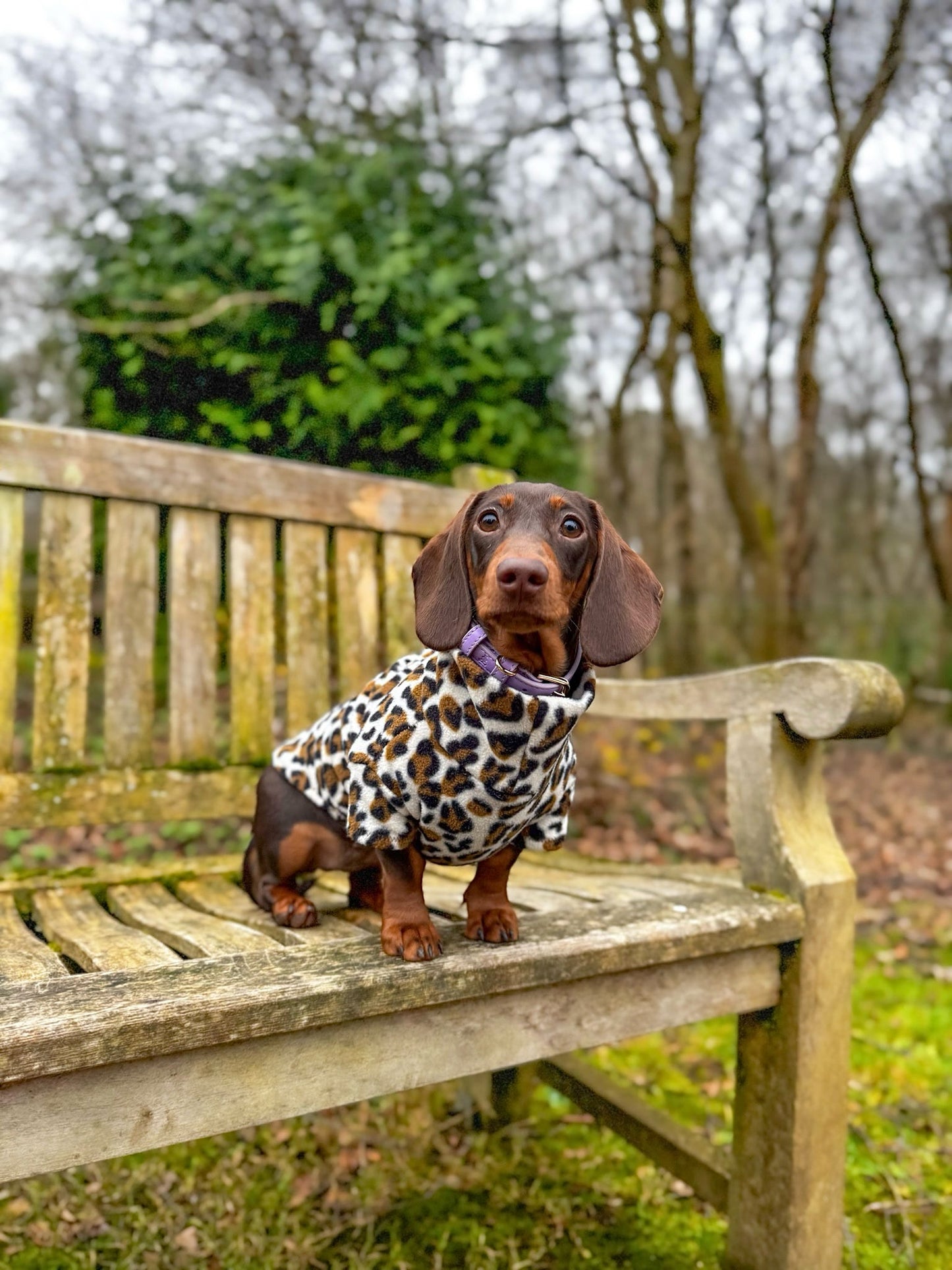 Snow Leopard Fleece Jumper