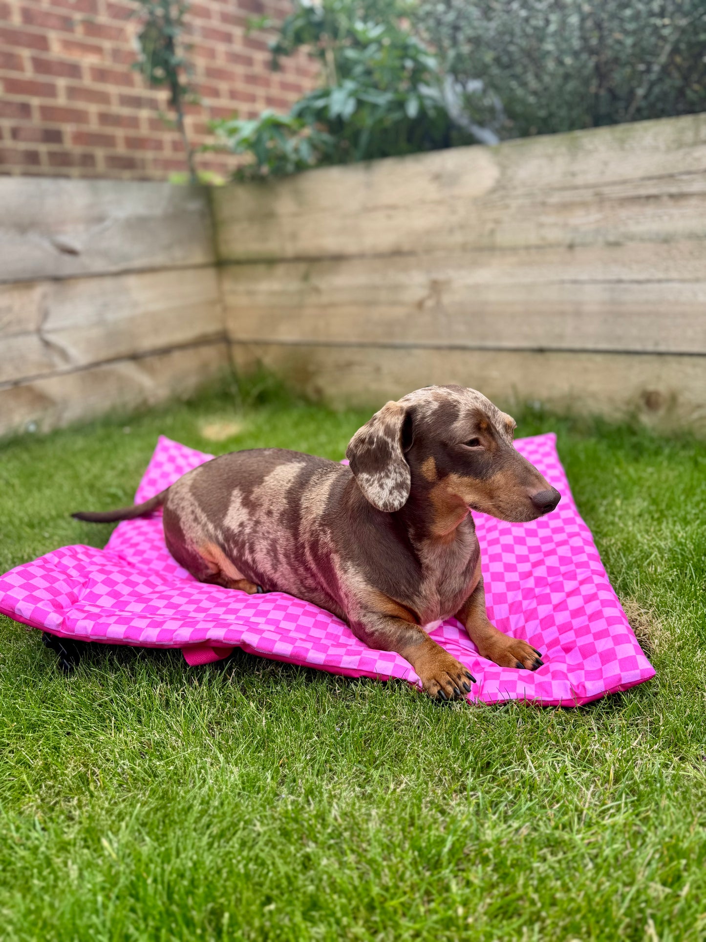 Pink Checkered Pub & Picnic Settle Mat