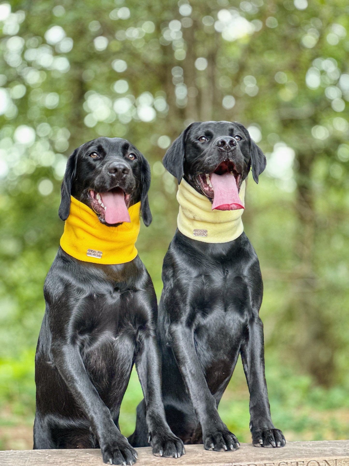 Canary Yellow Fleece Snood