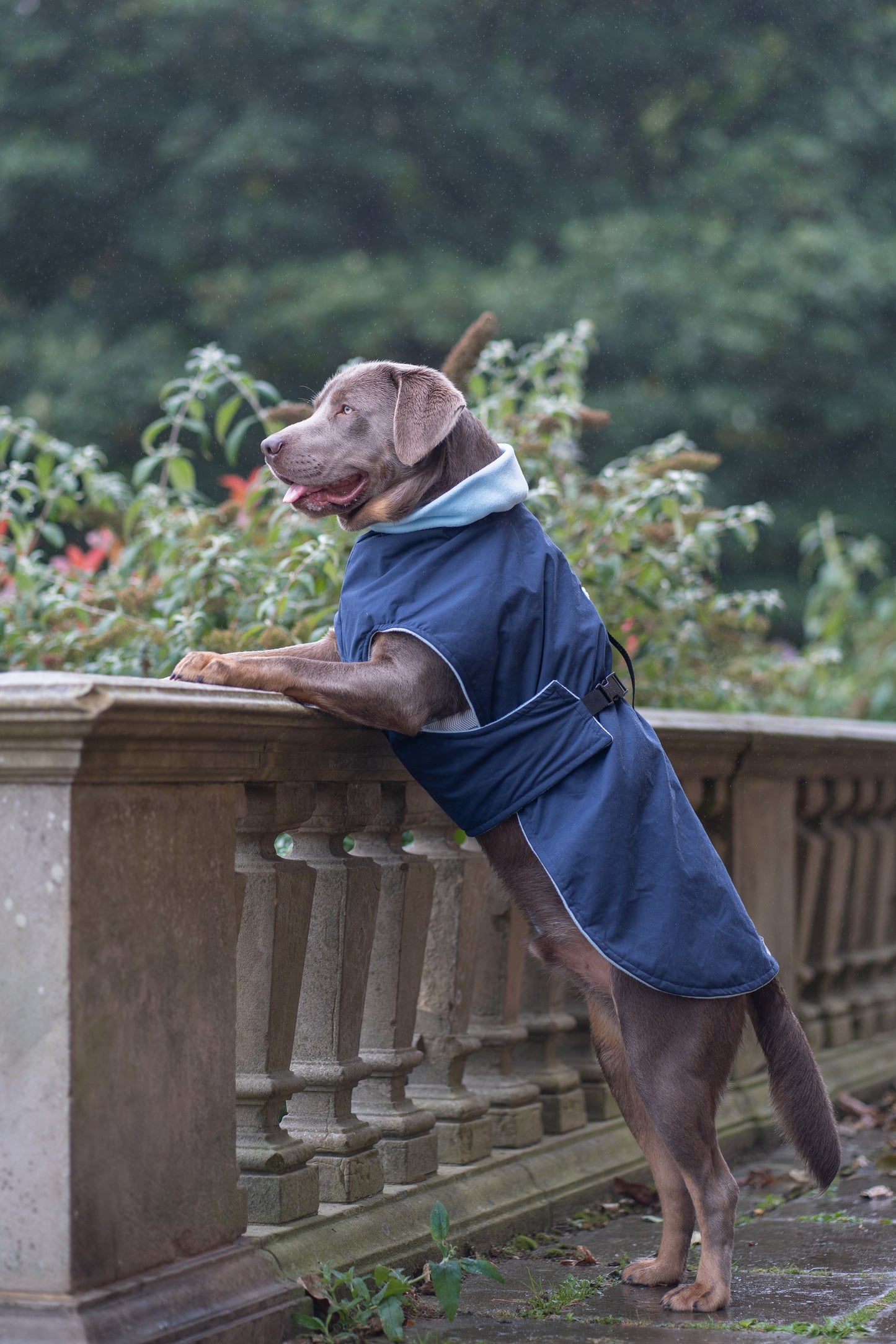 Navy Full Tummy Waterproof Jacket with Fleece Lining