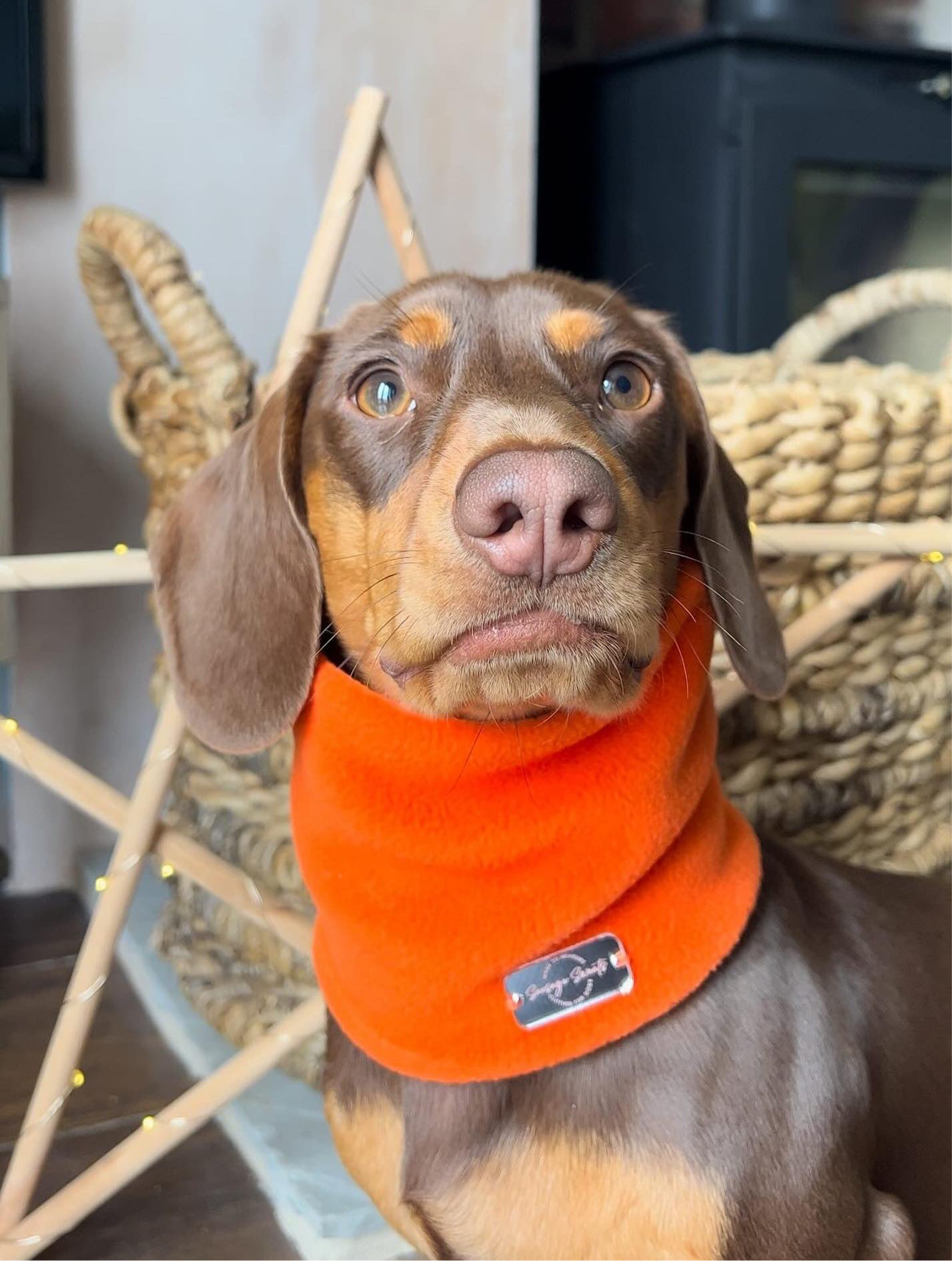 Orange Fleece Snood