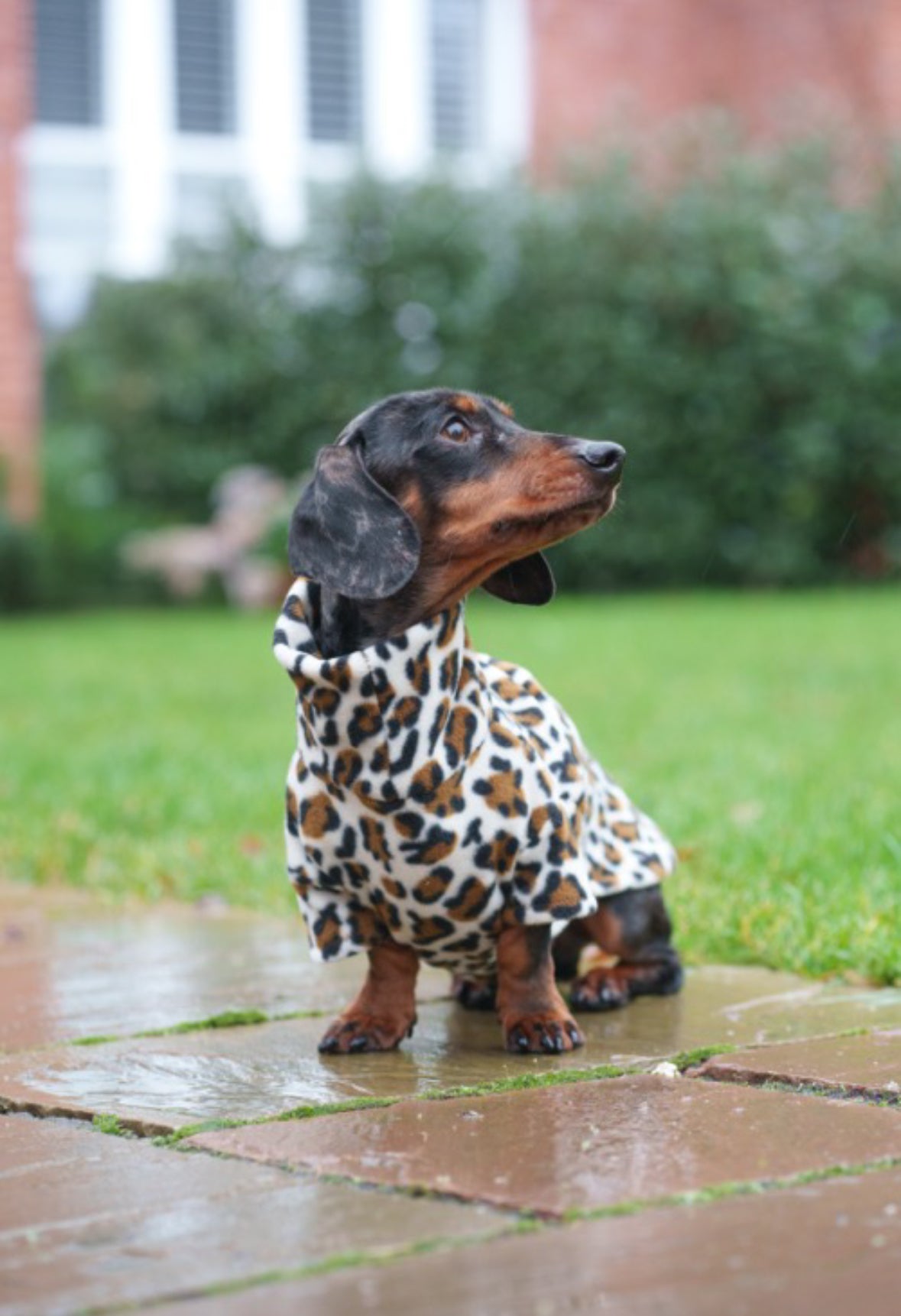 Snow Leopard Fleece Jumper