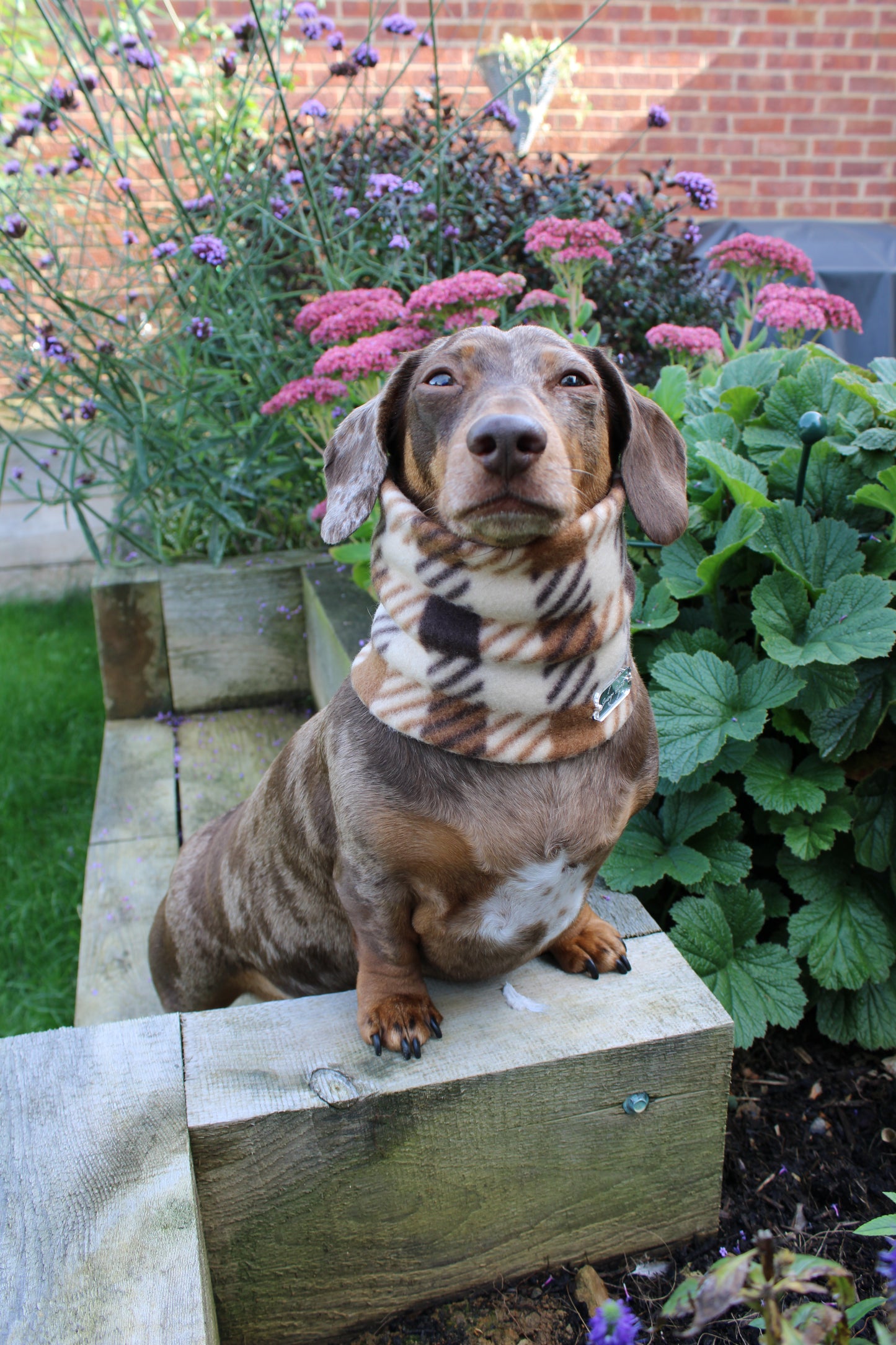 Brown Plaid Fleece Snood