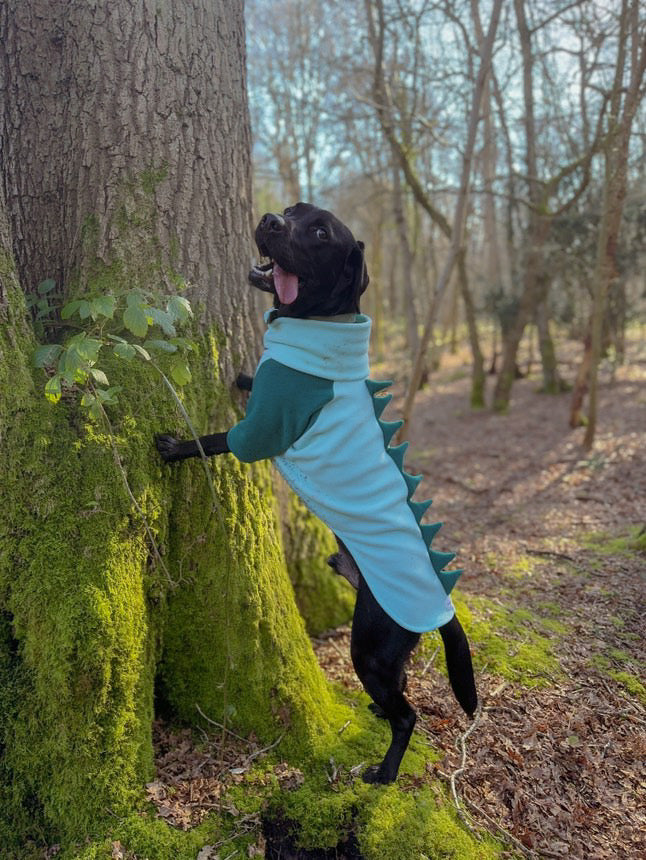 Jurassic Bark Fleece Jumper