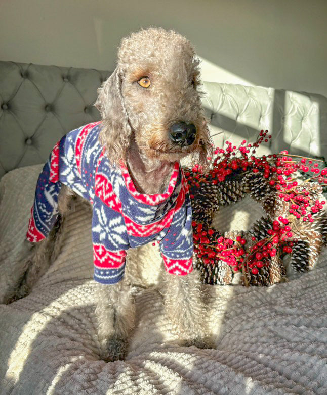 Christmas 4 Leg Fleece Jumper