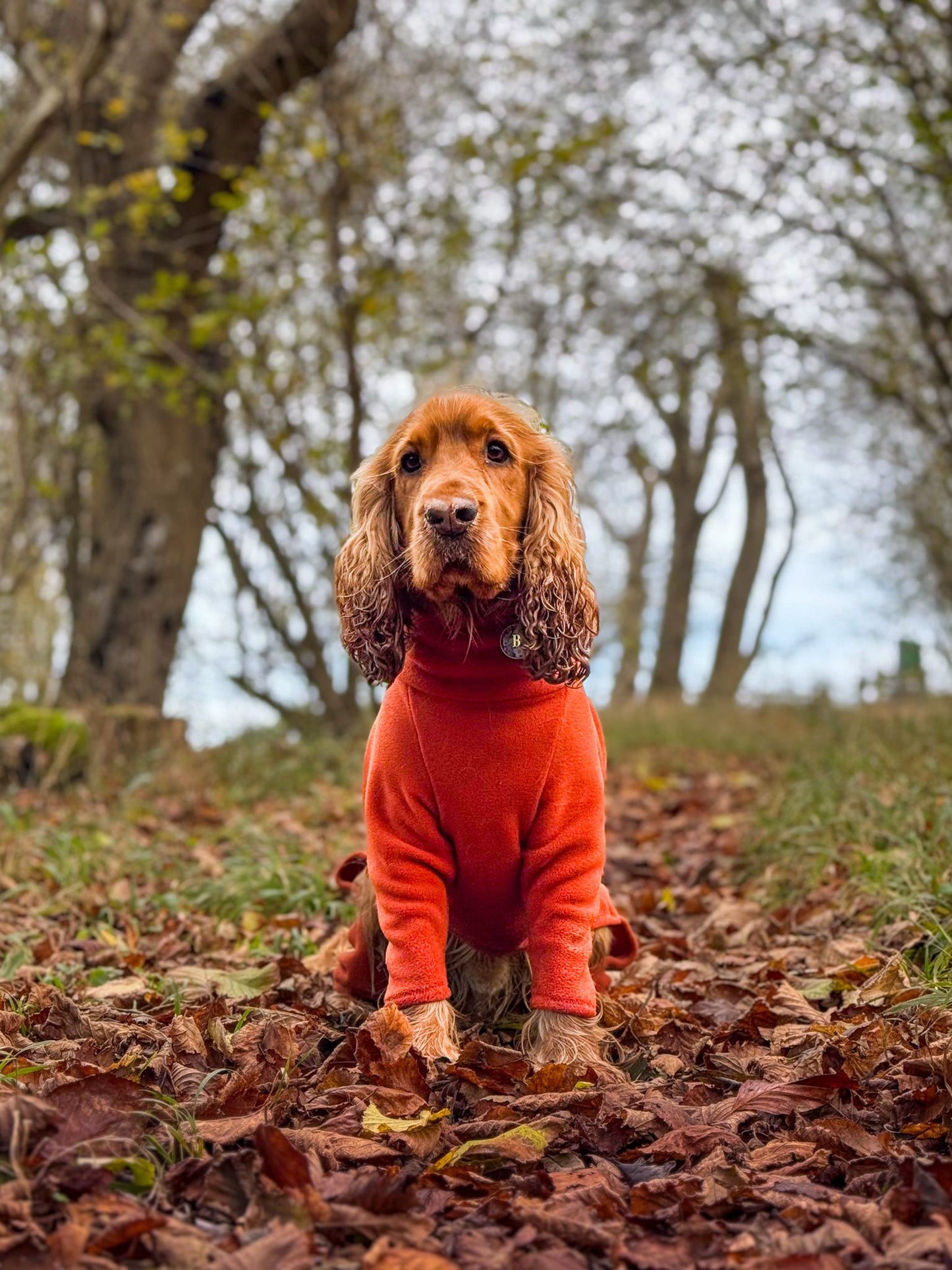 Rust 4 Leg Fleece Jumper