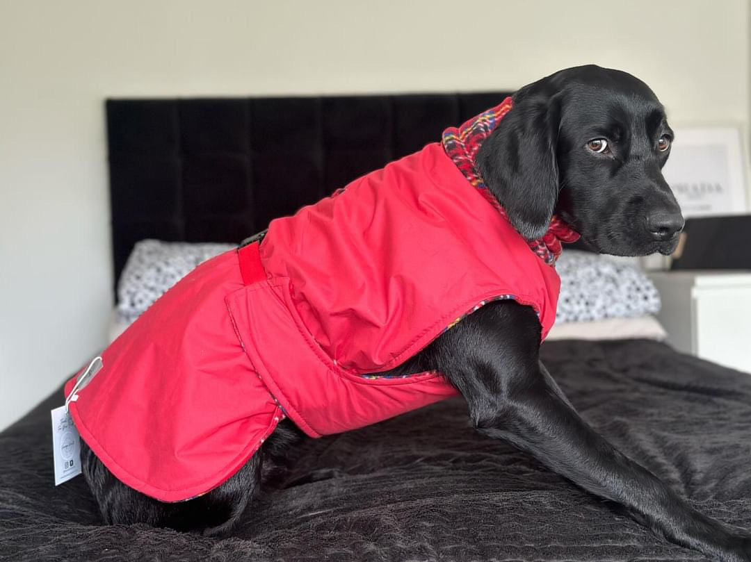 Red Full Tummy Waterproof Jacket with Fleece Lining