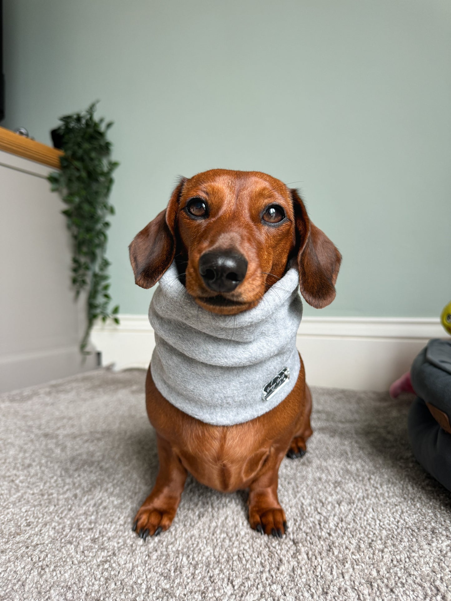 Light Grey Fleece Snood
