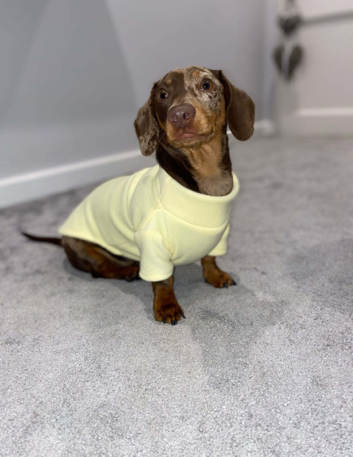 Lemon Fleece Jumper