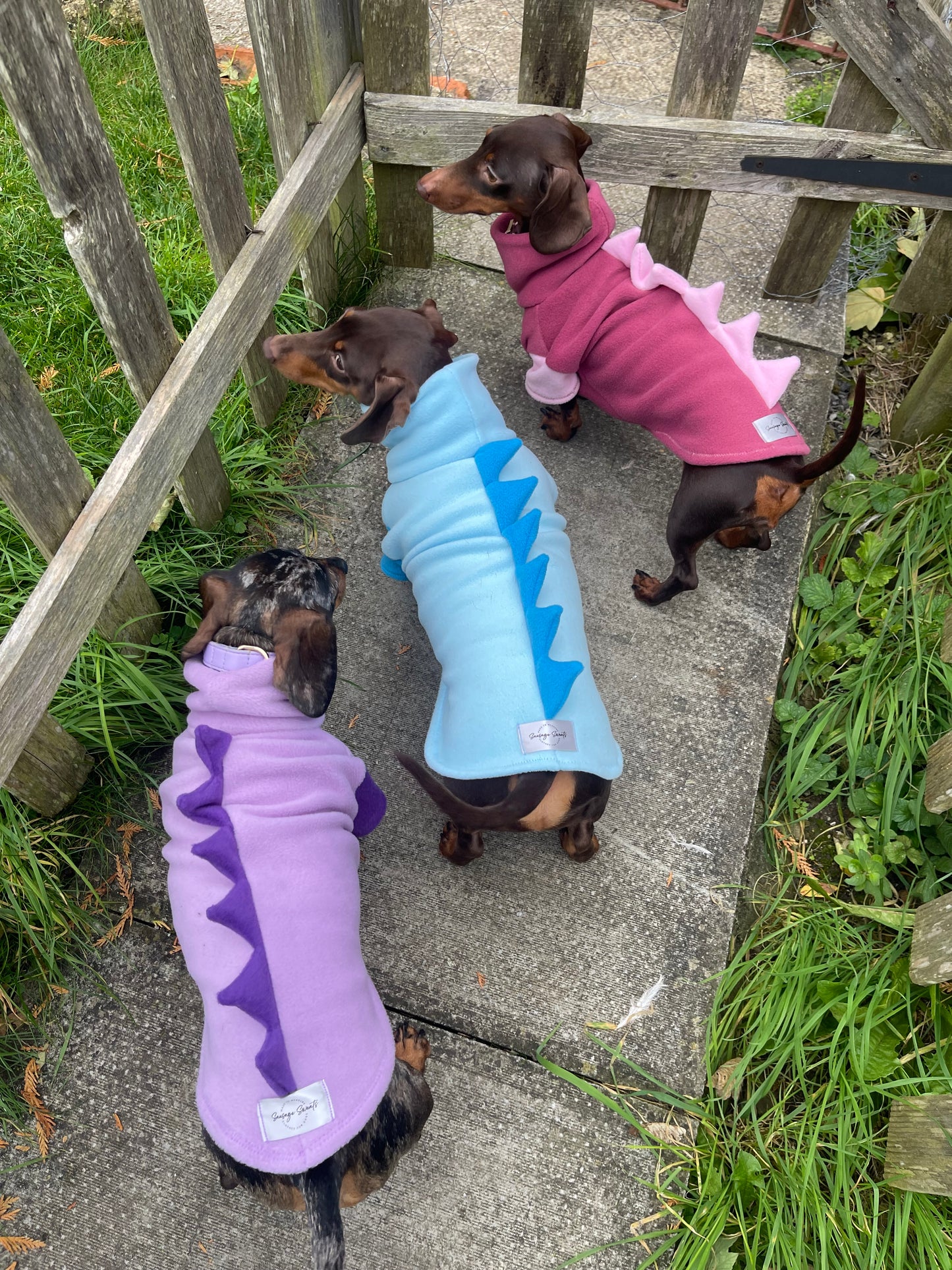 Jurassic Bark Fleece Jumper