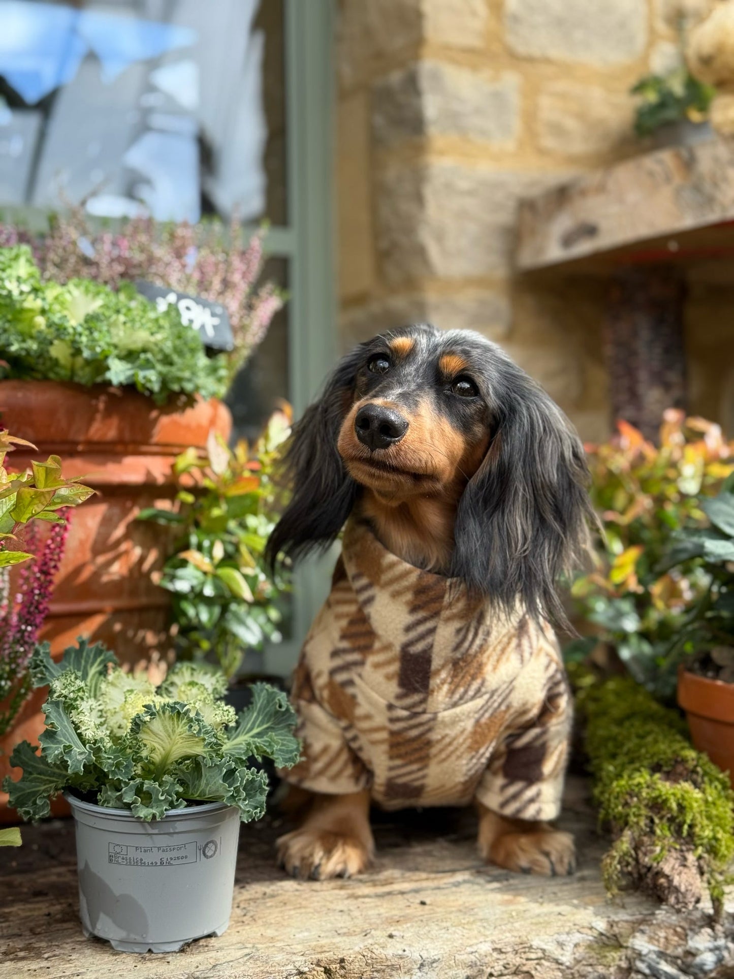 Brown Plaid Fleece Jumper