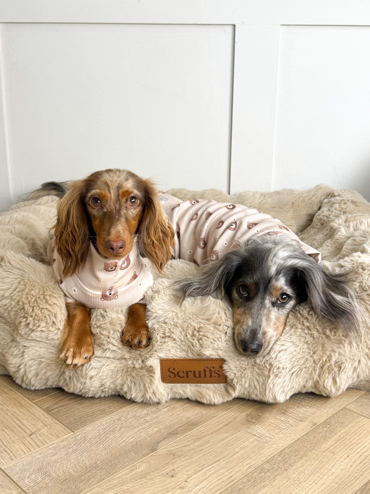 Daisy Bear Fine Rib Knit Jersey Jammies