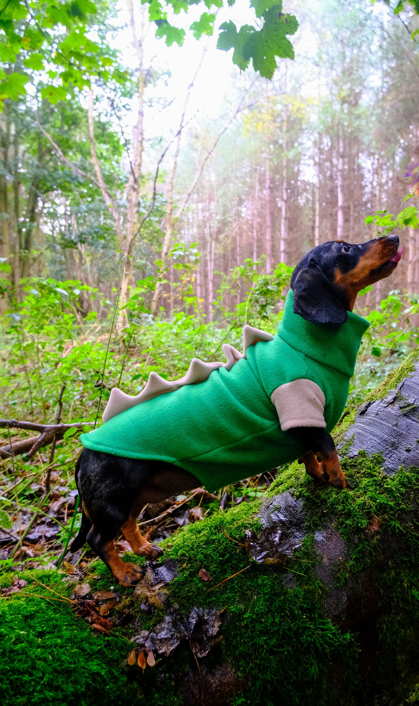 Jurassic Bark Fleece Jumper