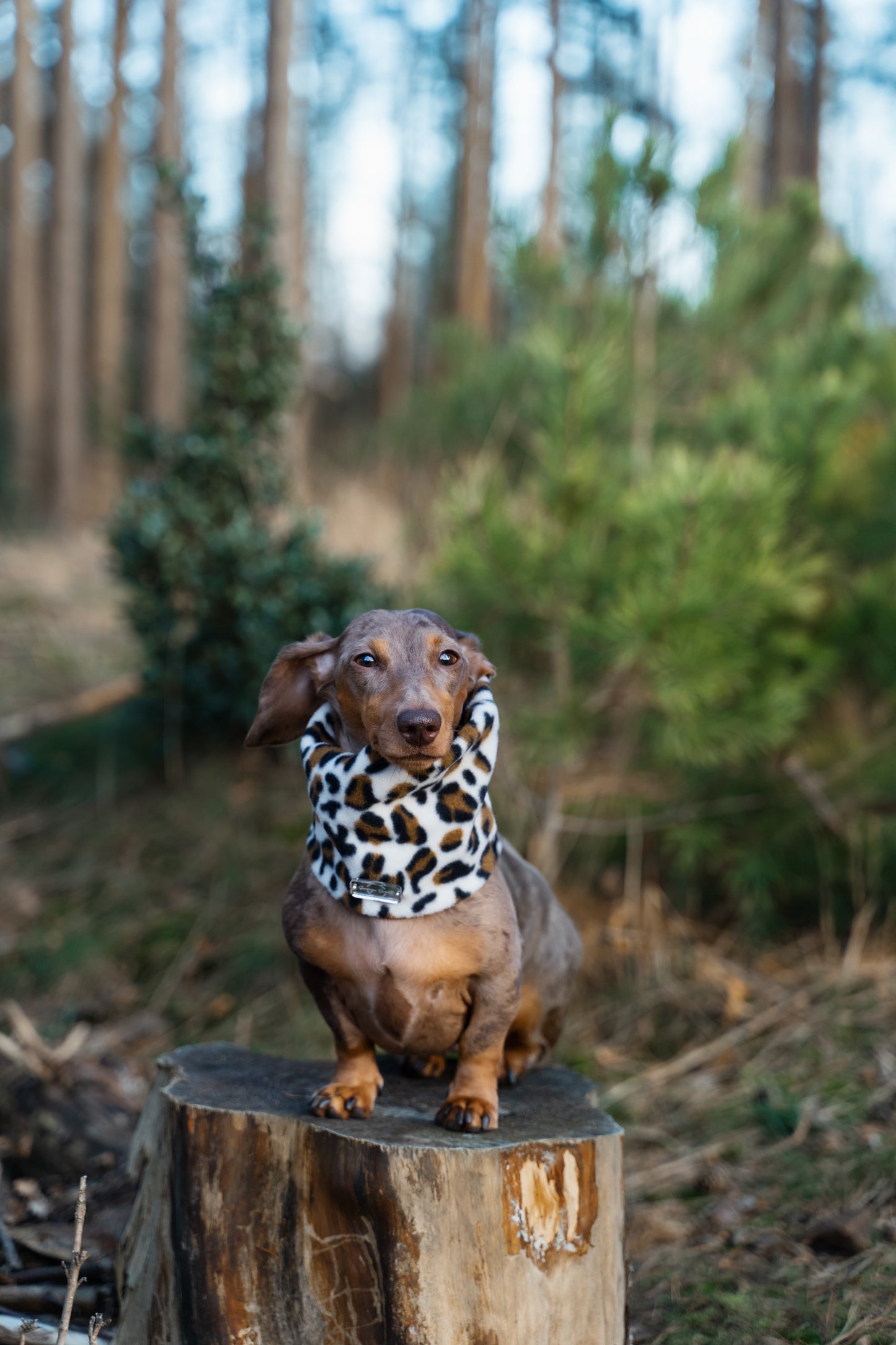 Snow Leopard Fleece Snood