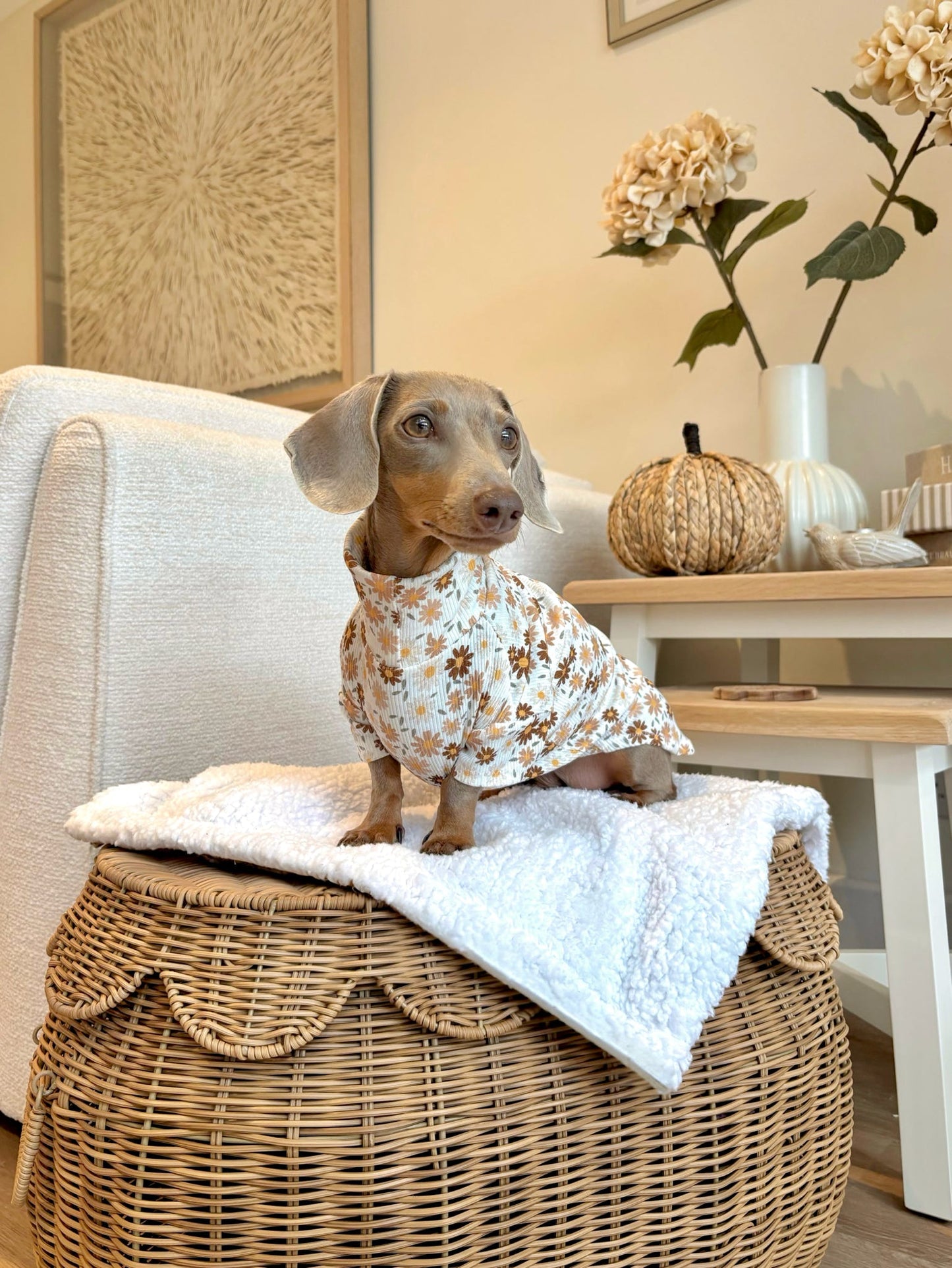 Autumn Florals Fine Rib Knit Jersey Jammies