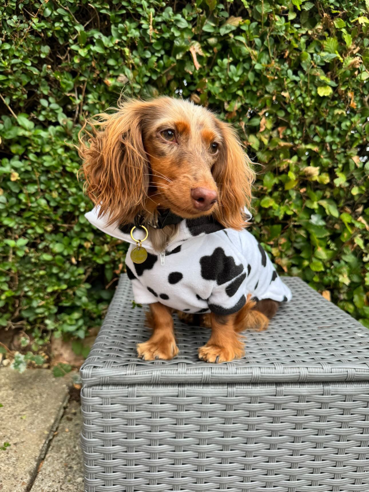 Moo Quarter Zip Fleece Jumper